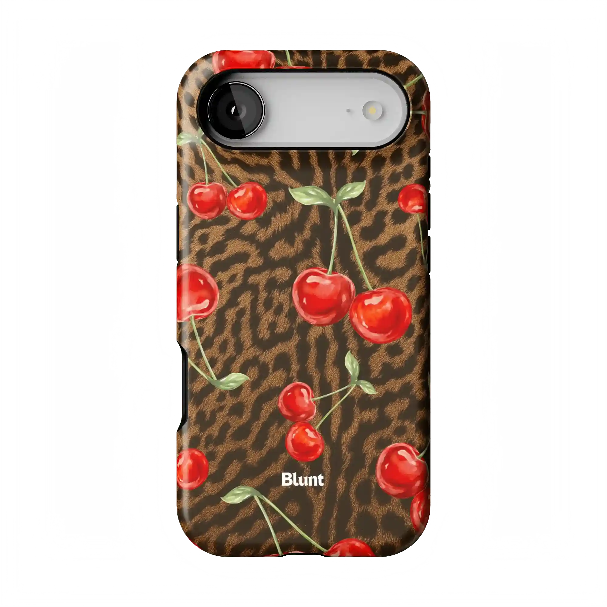 bluntcasesonline.com