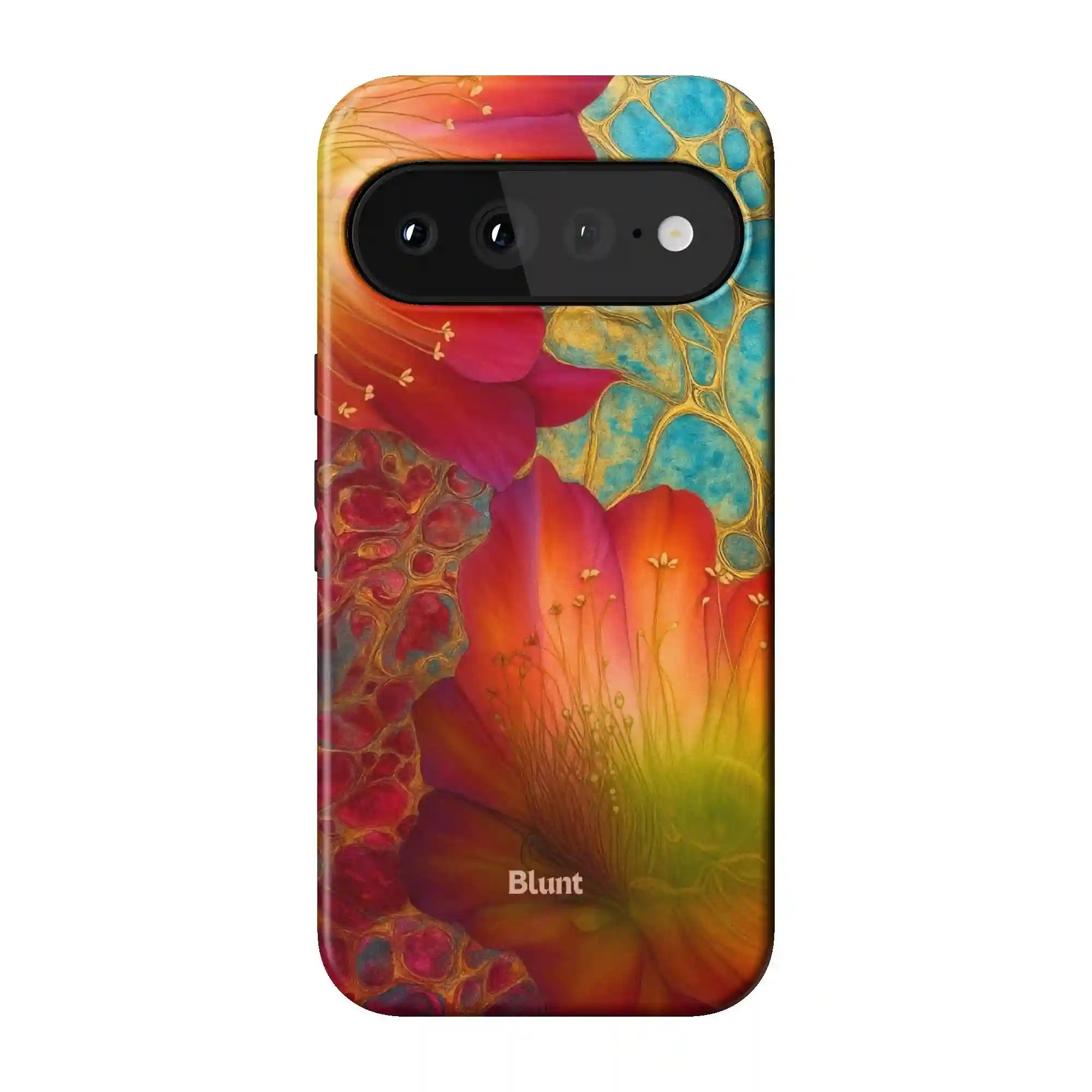 bluntcasesonline.com