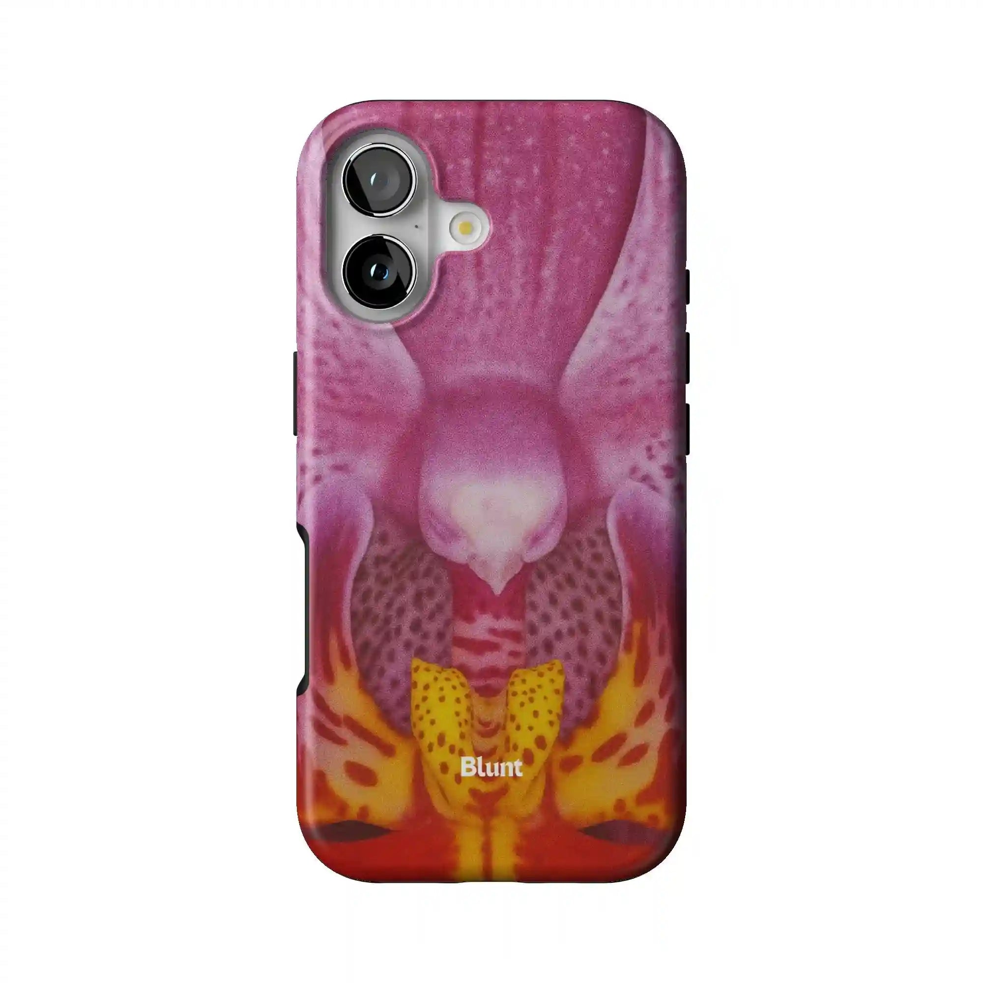 bluntcasesonline.com