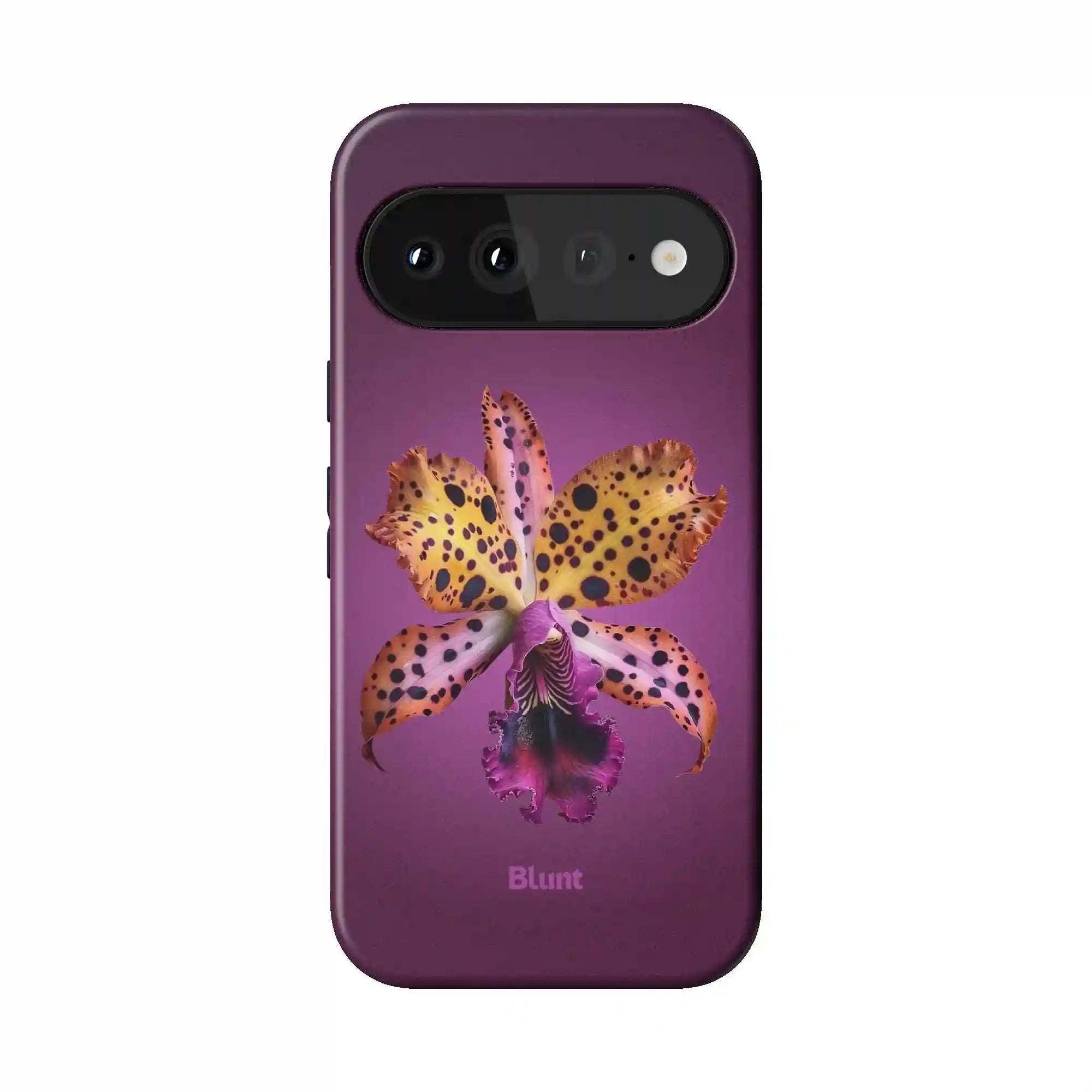 bluntcasesonline.com