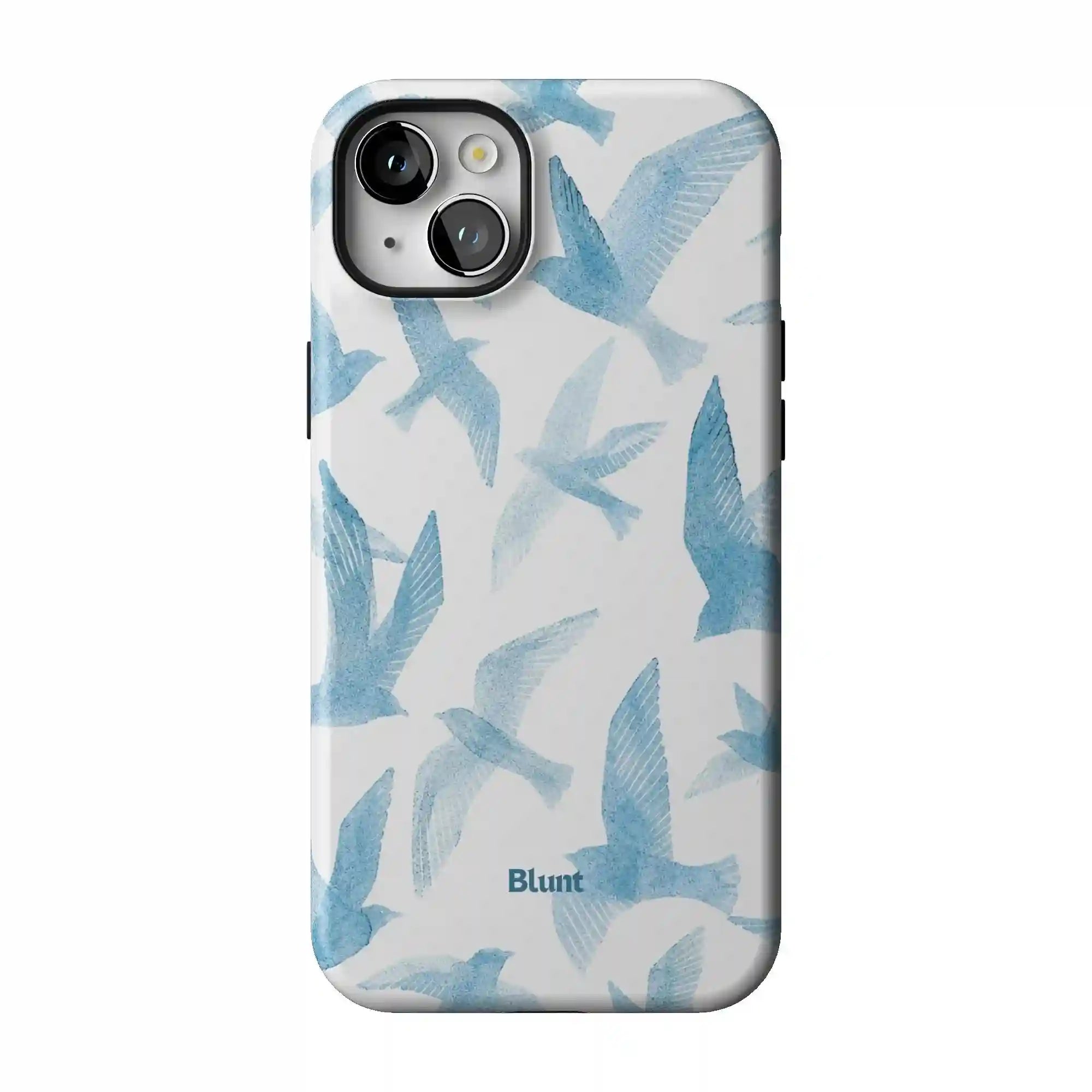 bluntcasesonline.com
