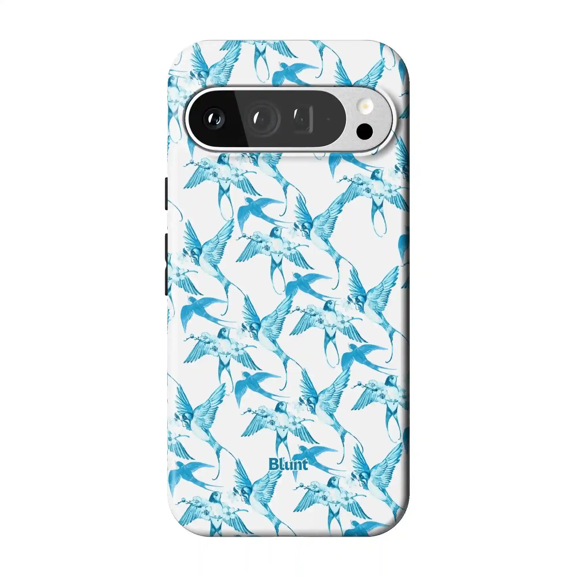 bluntcasesonline.com