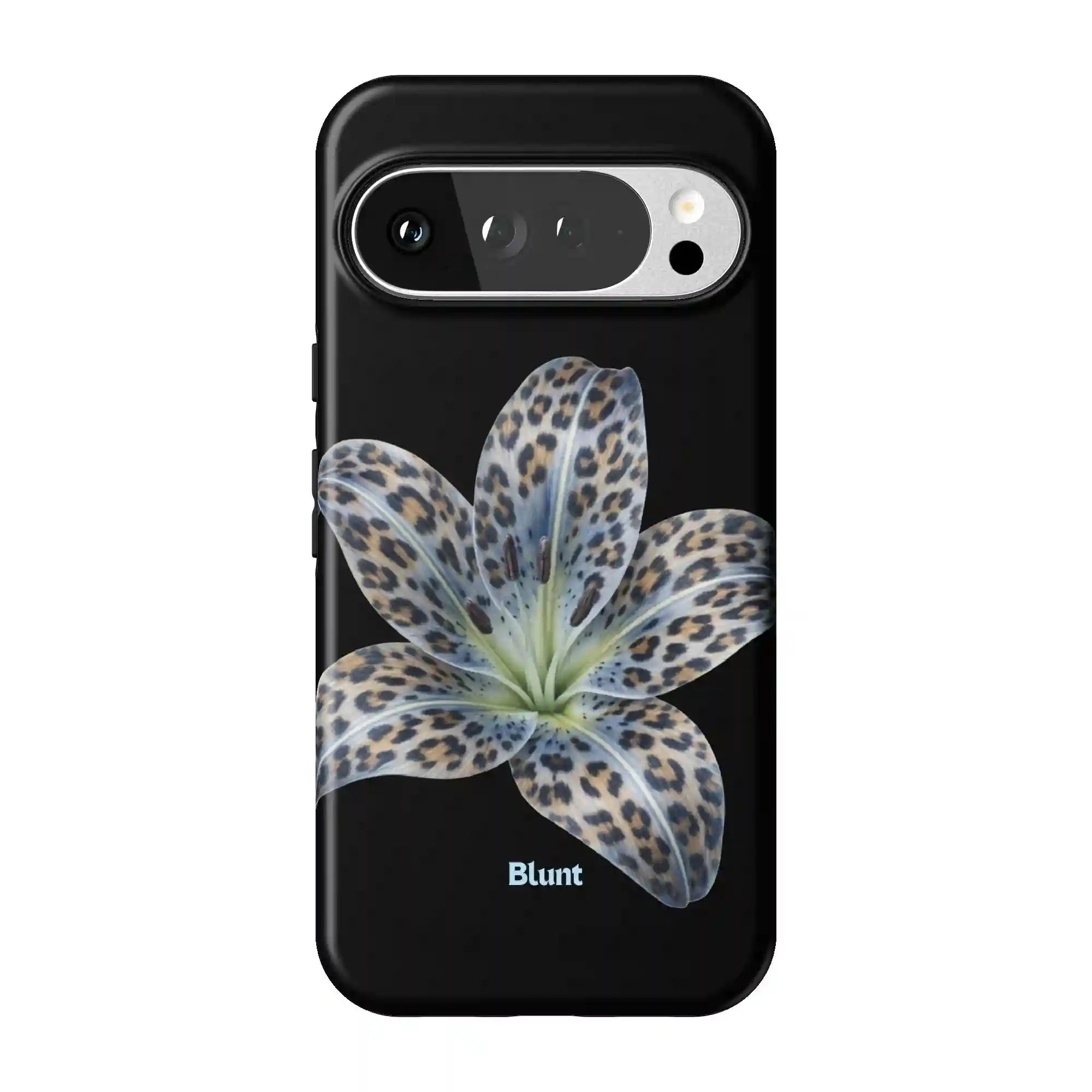 bluntcasesonline.com