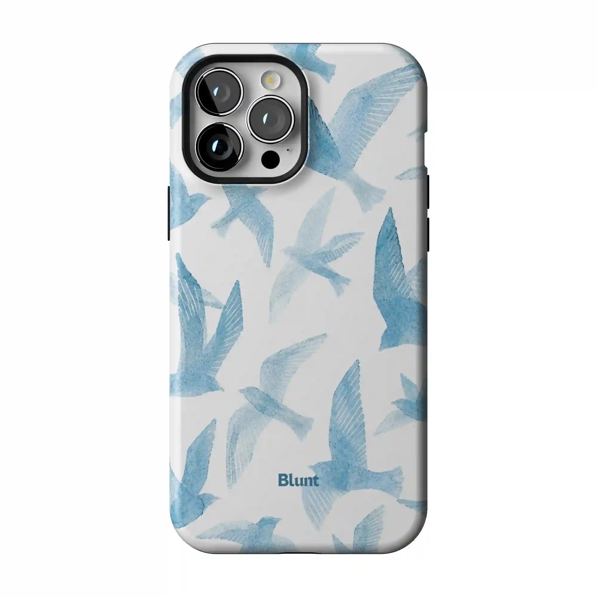 bluntcasesonline.com