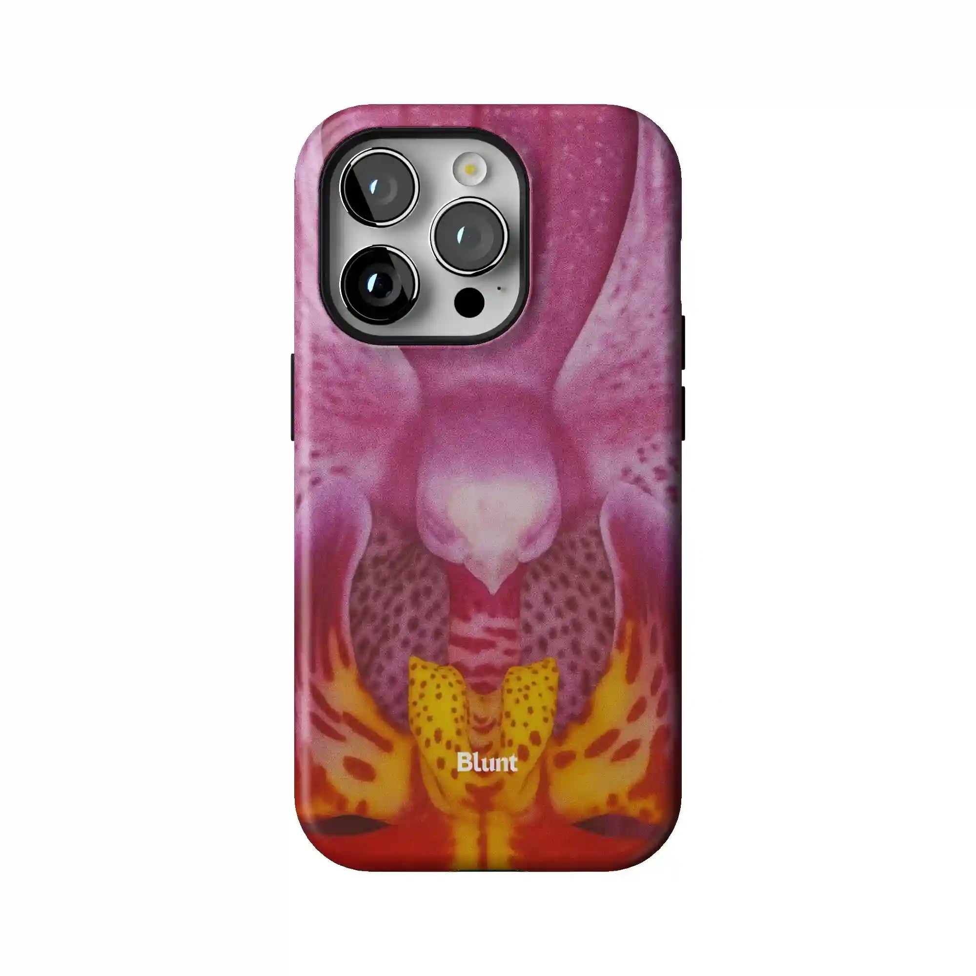 bluntcasesonline.com