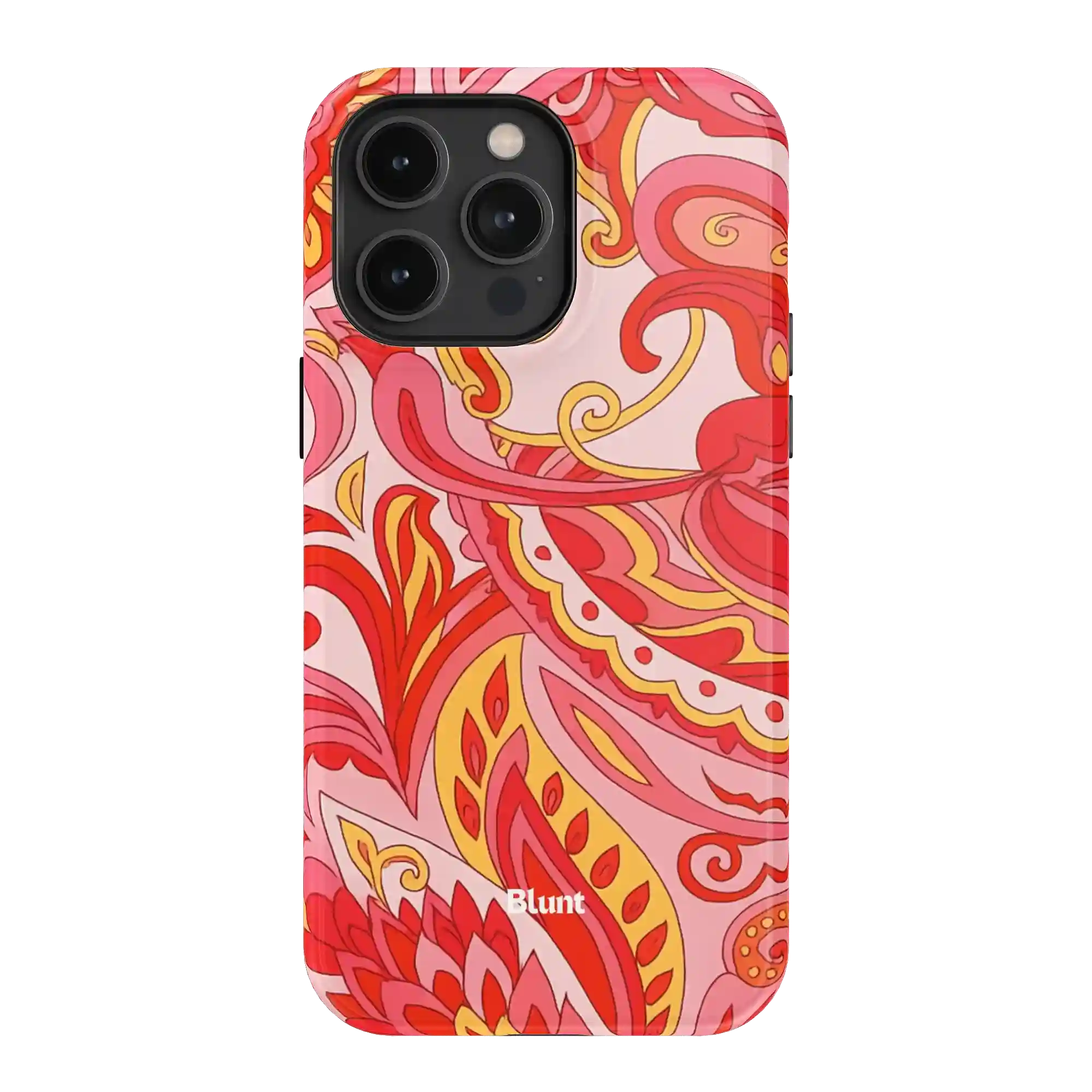 bluntcasesonline.com