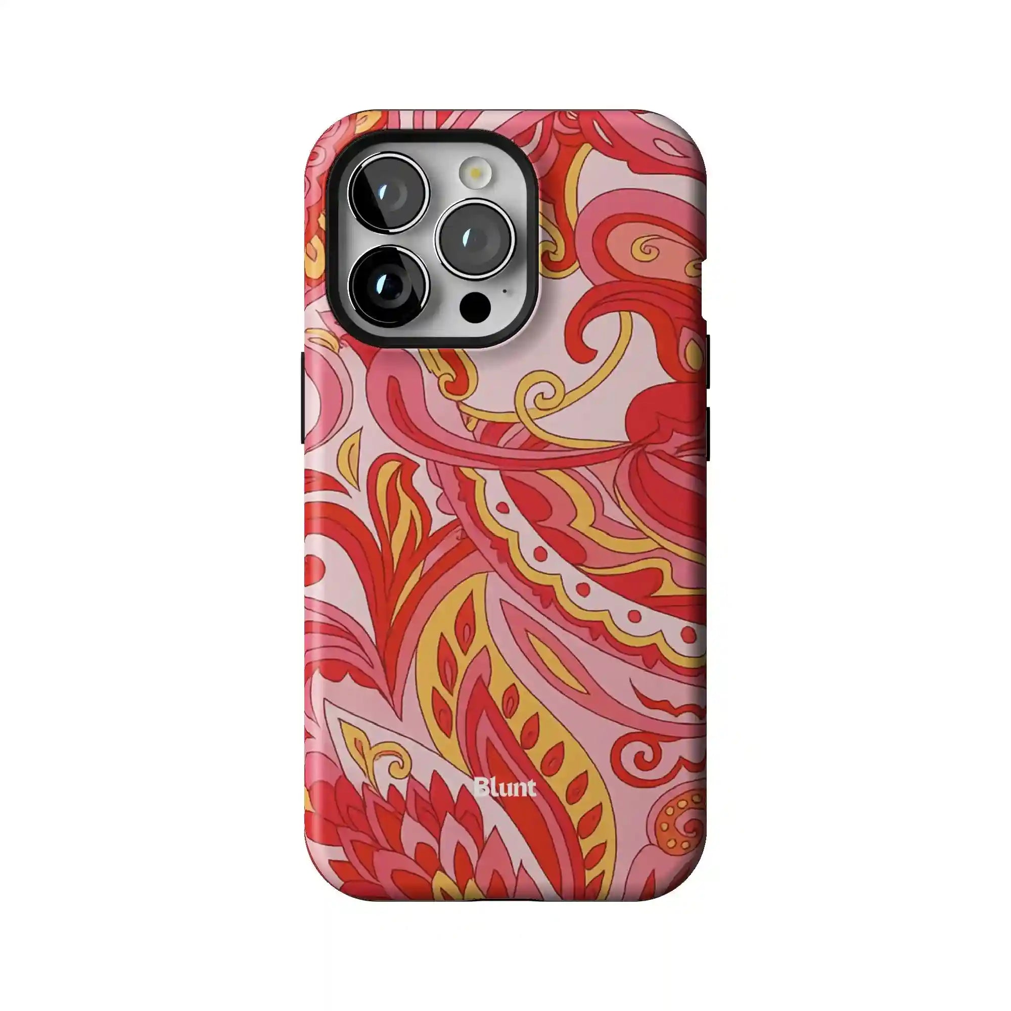 bluntcasesonline.com