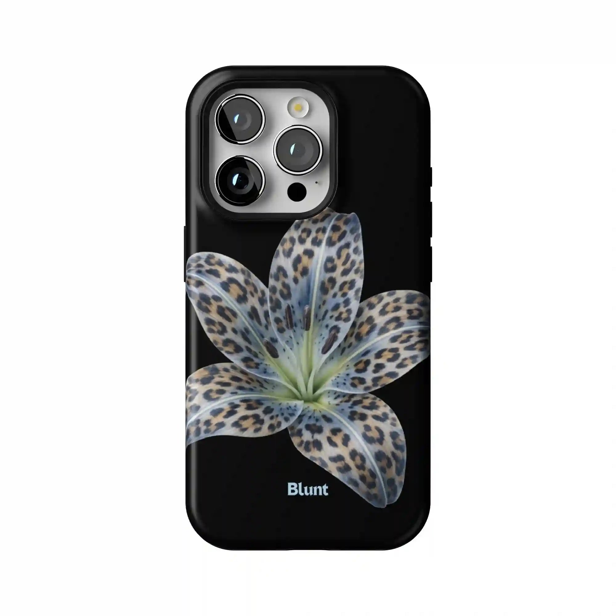 bluntcasesonline.com