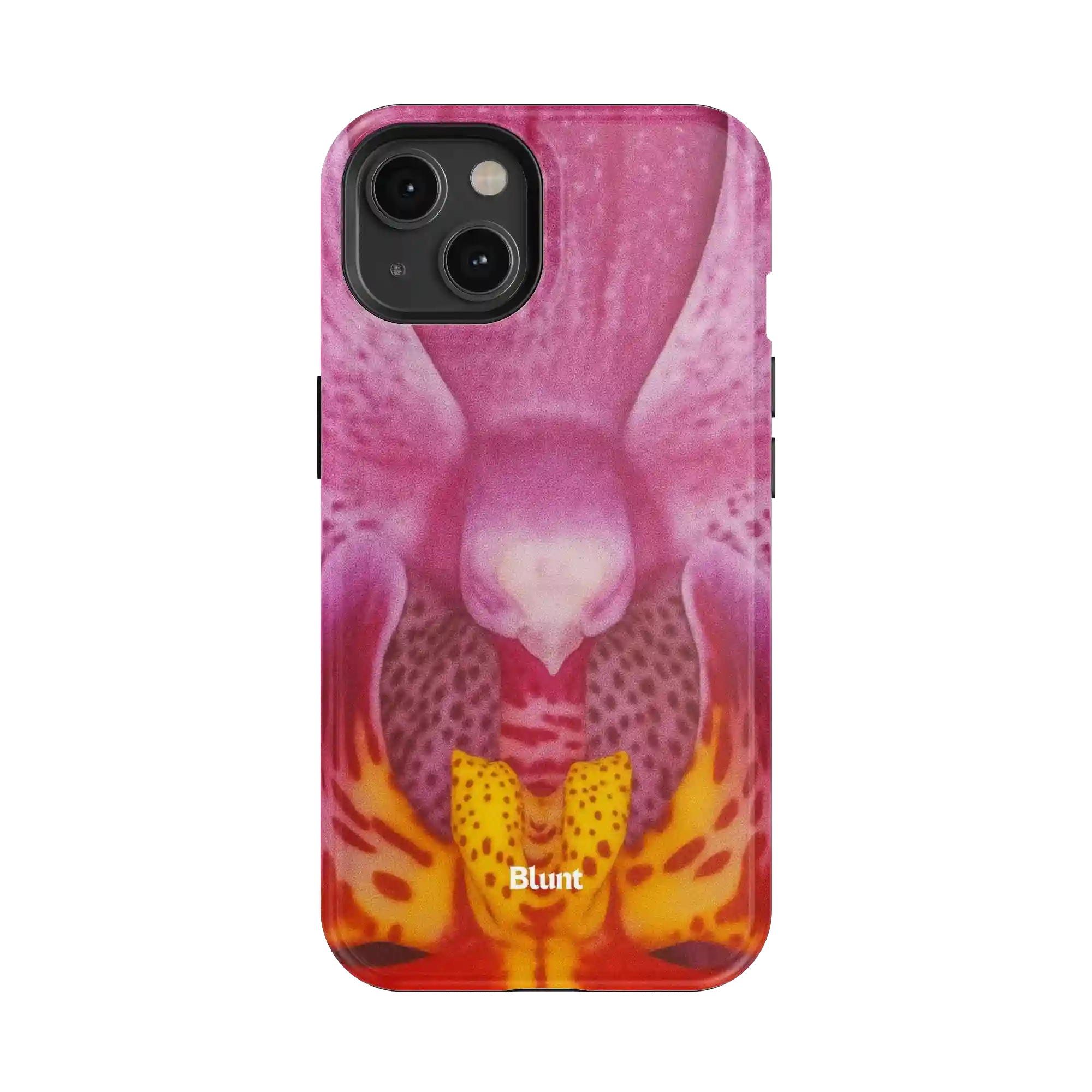 bluntcasesonline.com