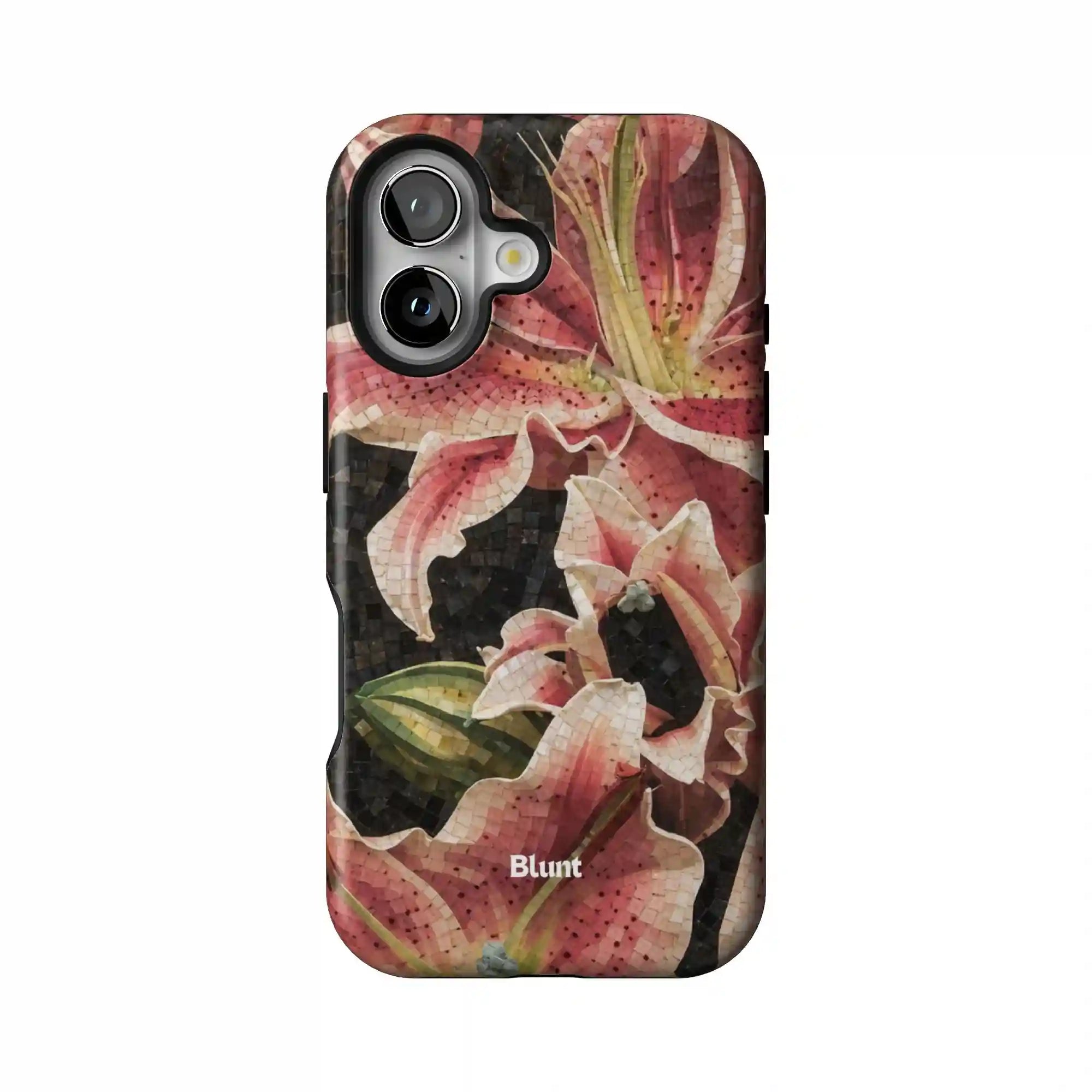 bluntcasesonline.com