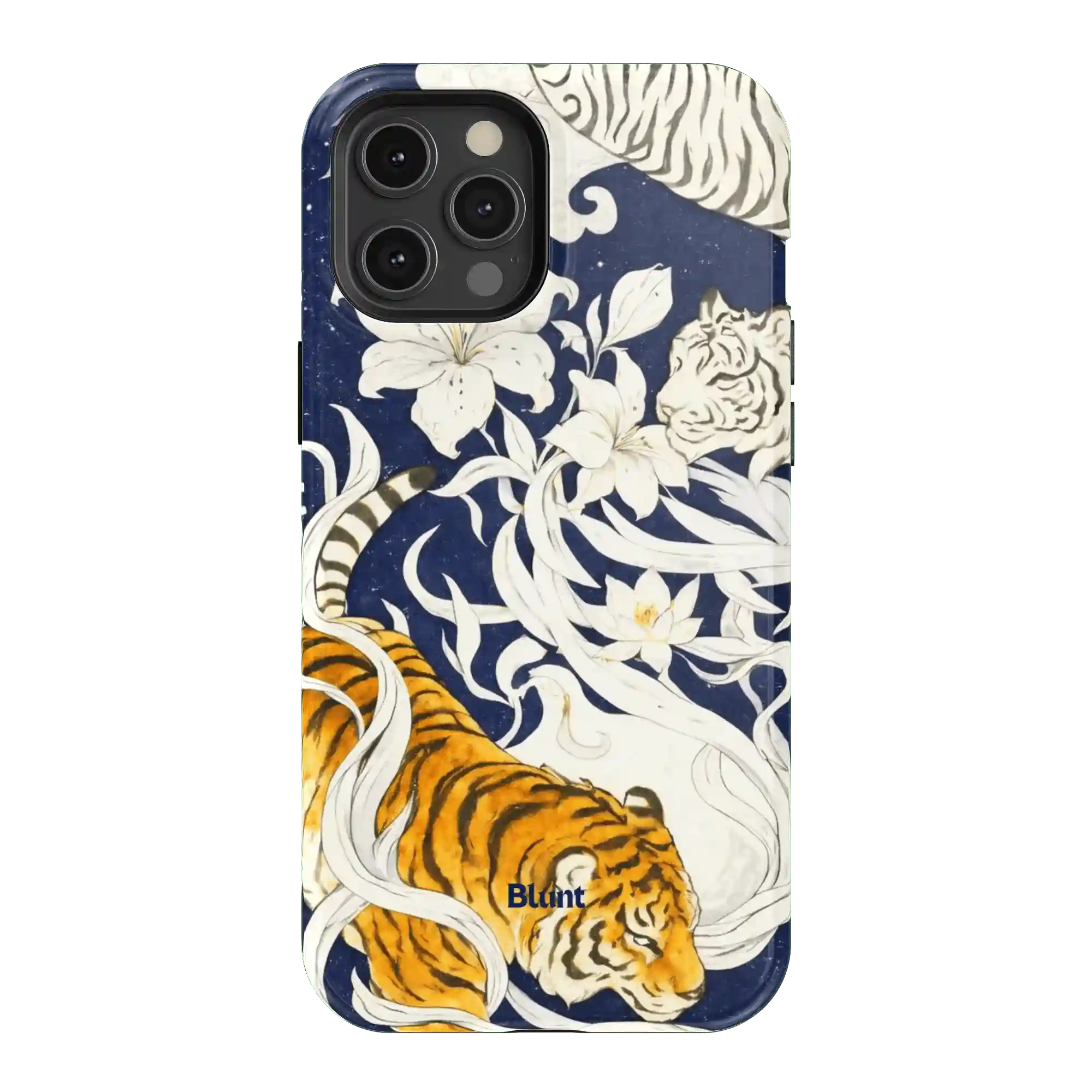 bluntcasesonline.com