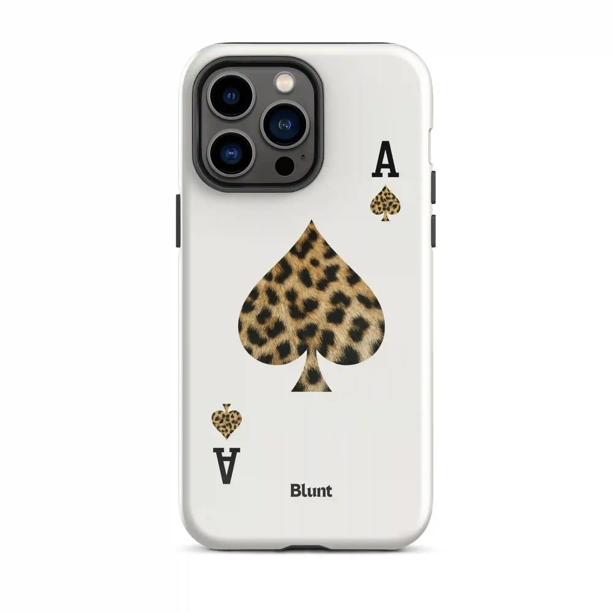bluntcasesonline.com