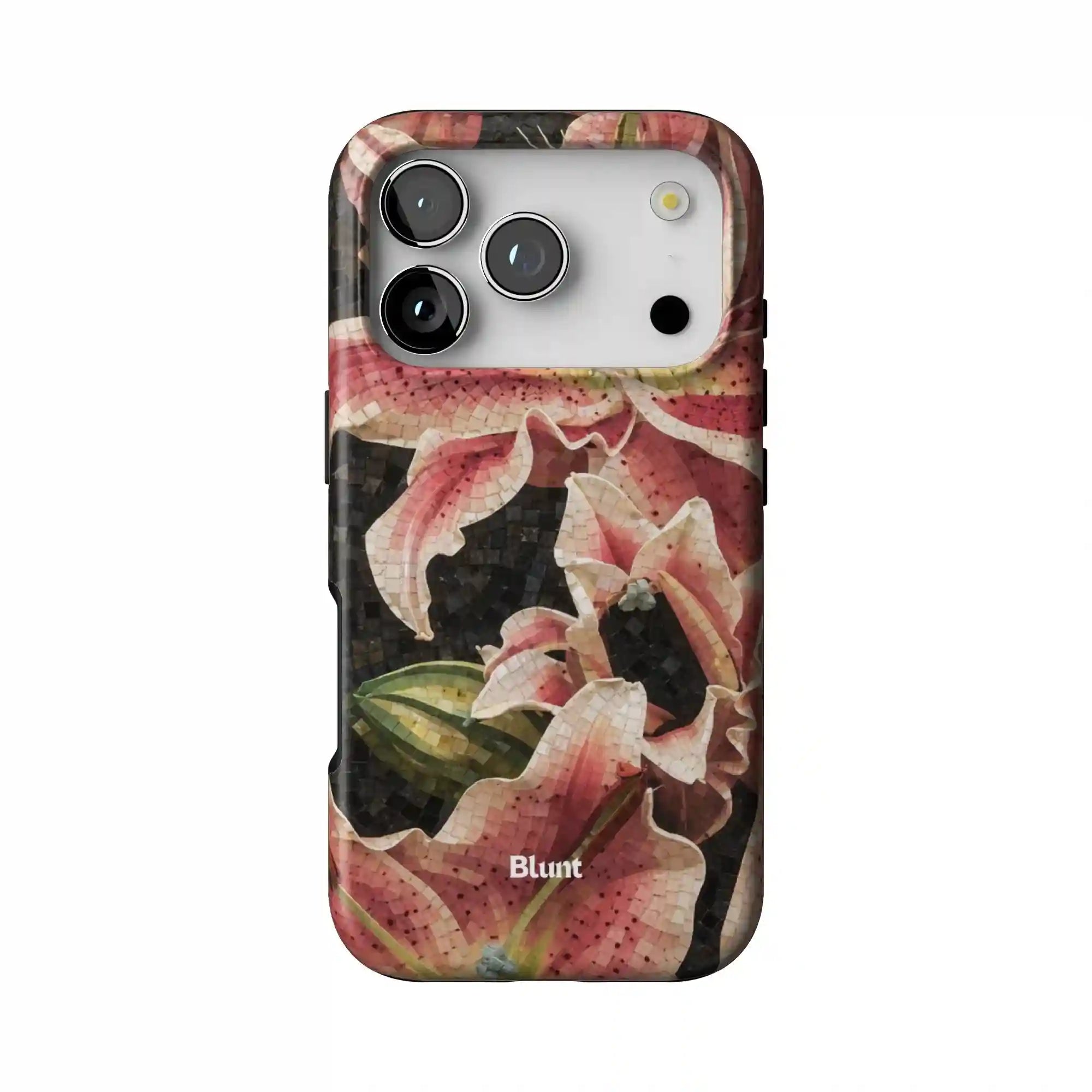 bluntcasesonline.com