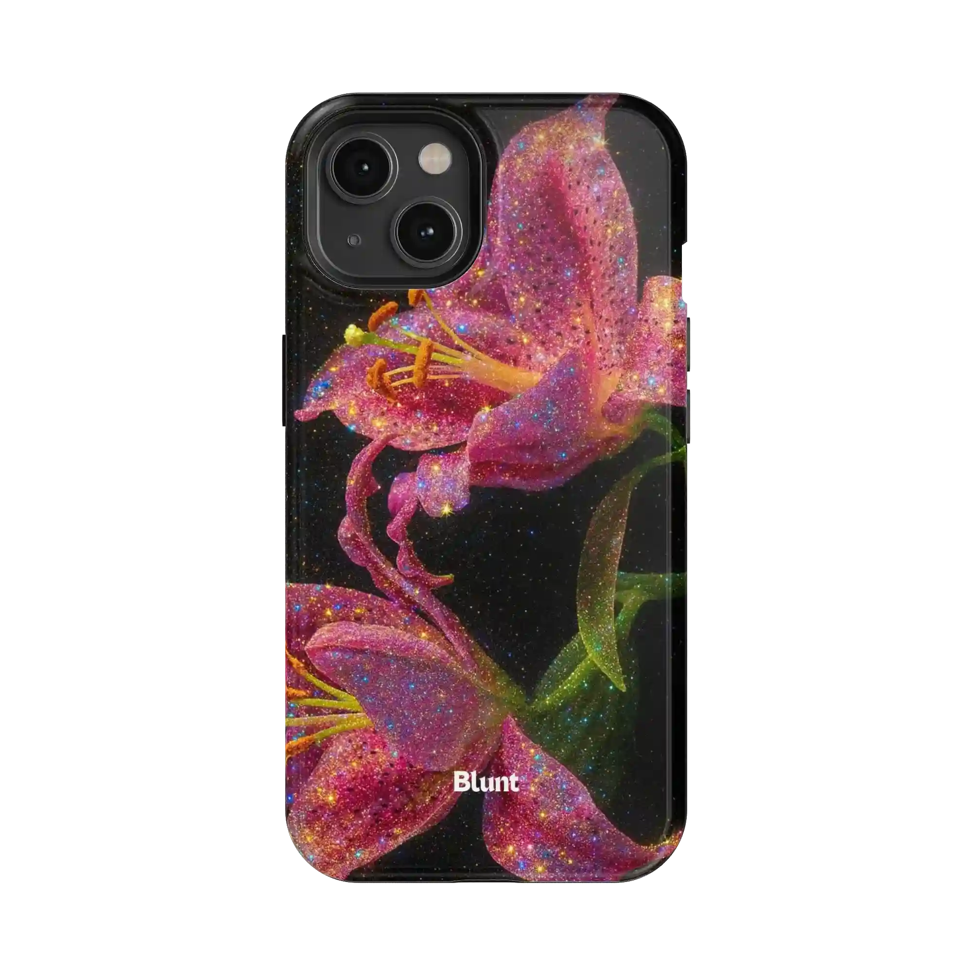 bluntcasesonline.com