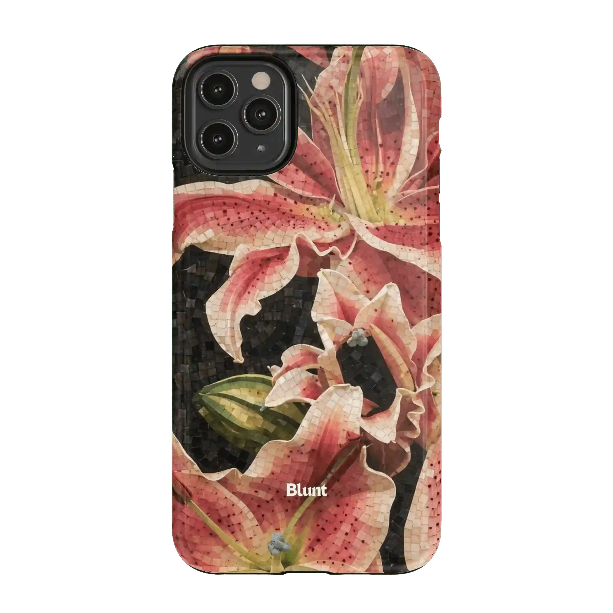 bluntcasesonline.com