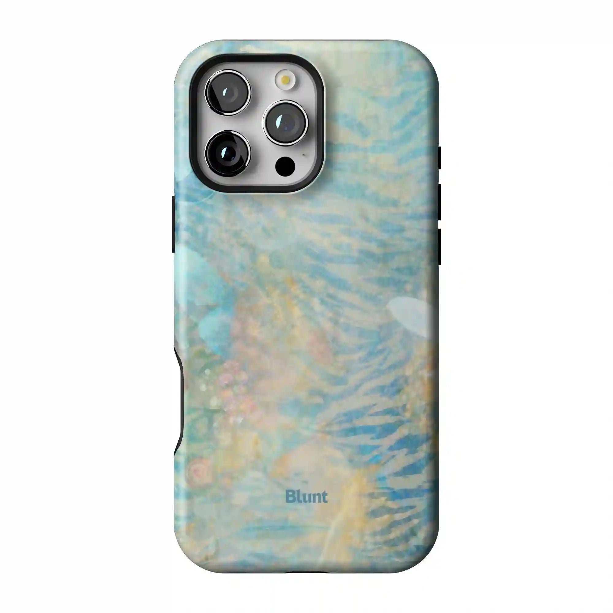 bluntcasesonline.com
