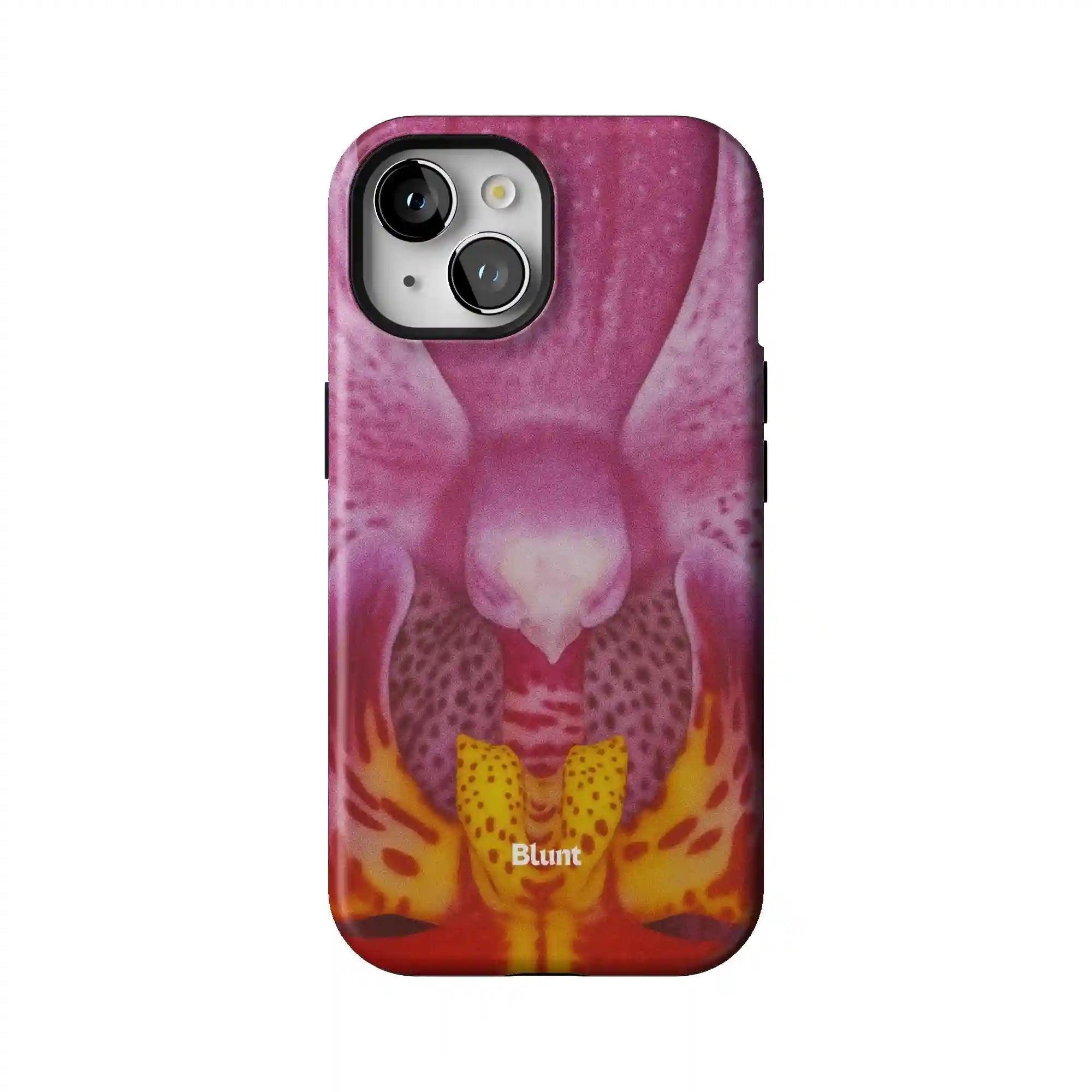 bluntcasesonline.com