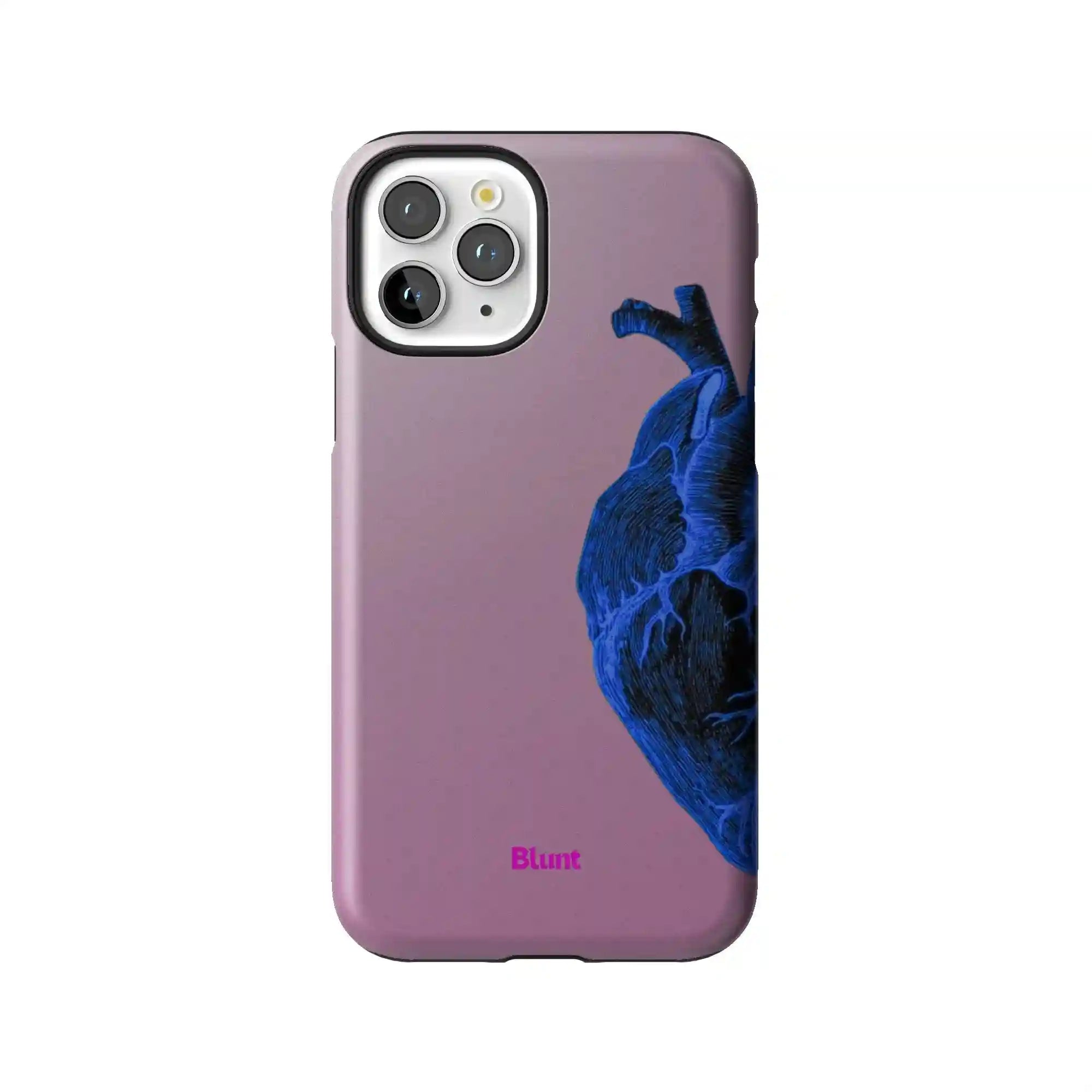 bluntcasesonline.com