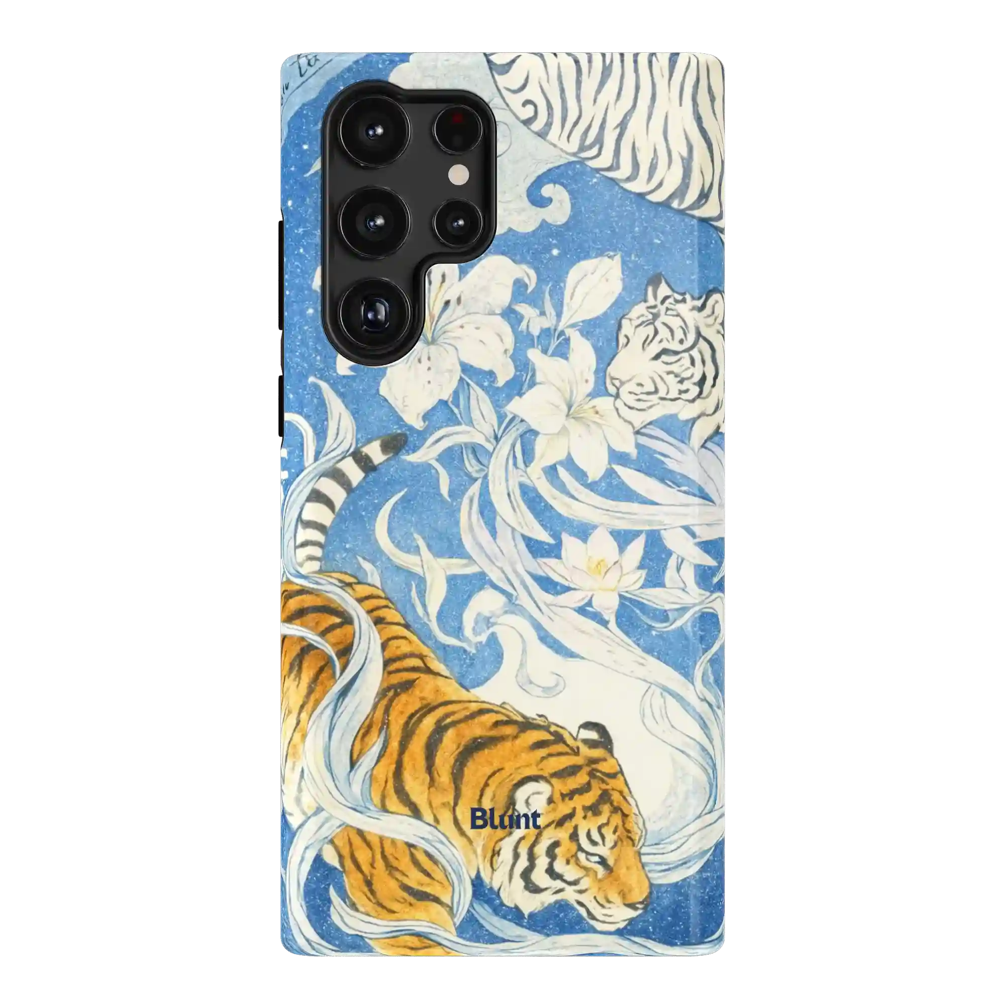 bluntcasesonline.com