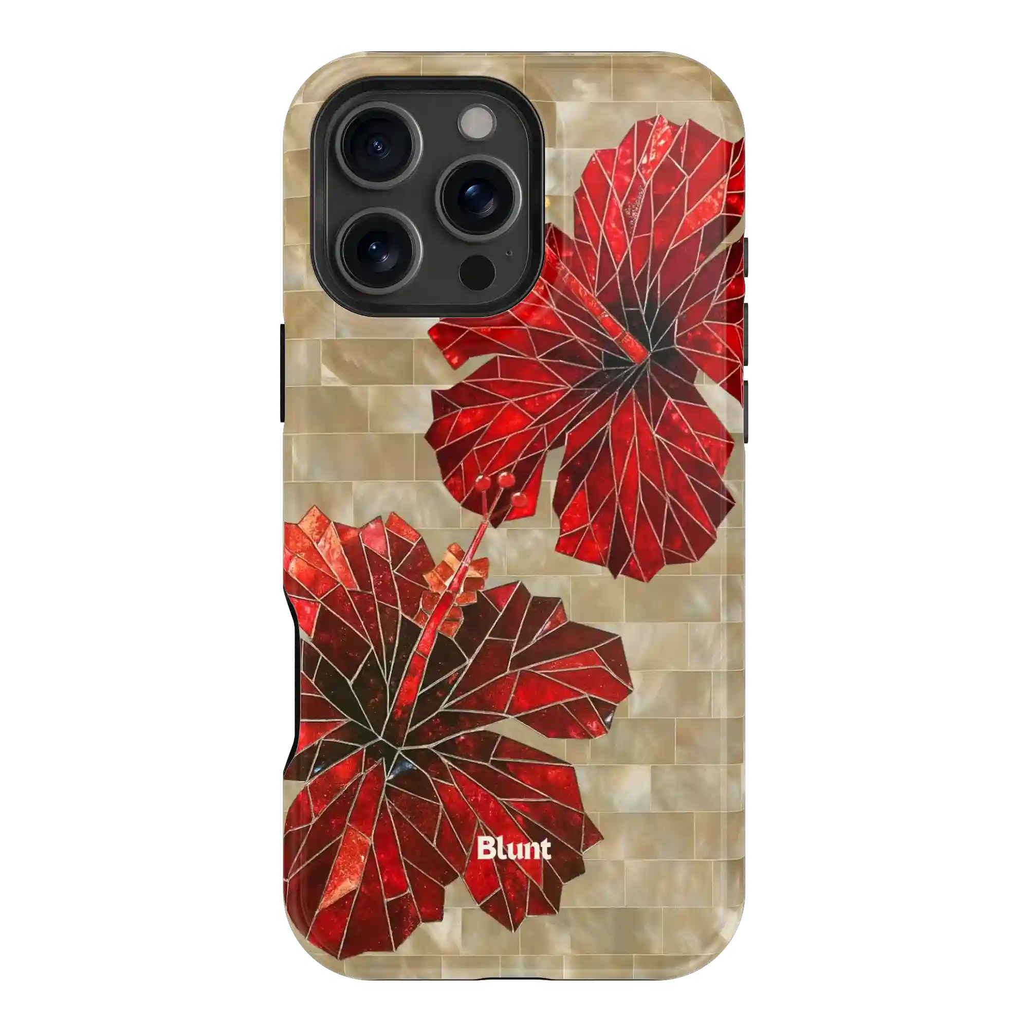 bluntcasesonline.com