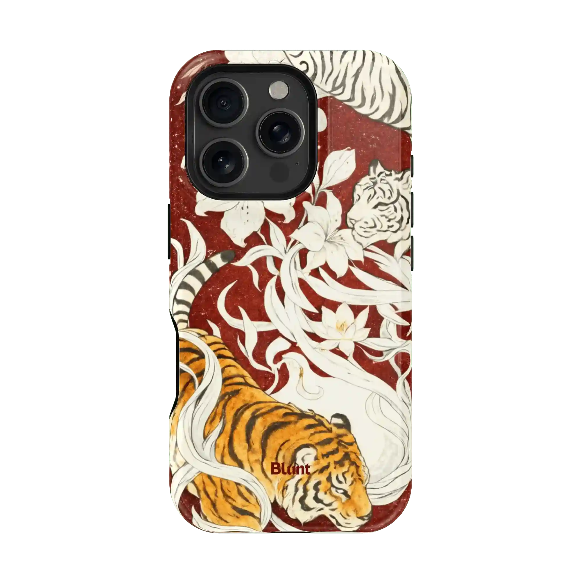 bluntcasesonline.com