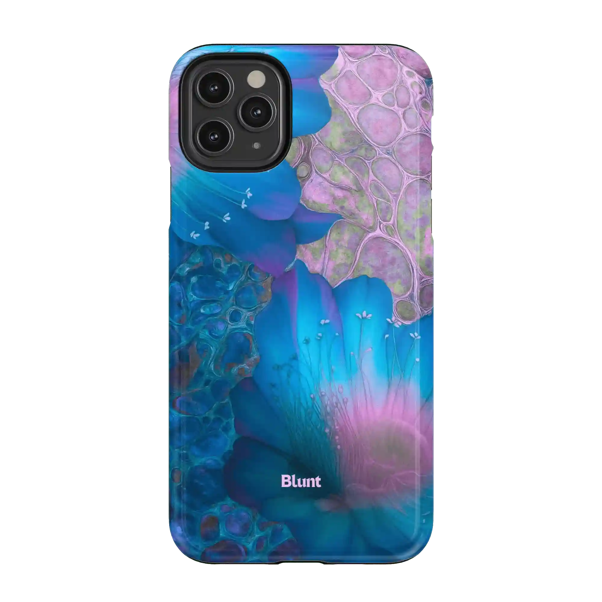 bluntcasesonline.com
