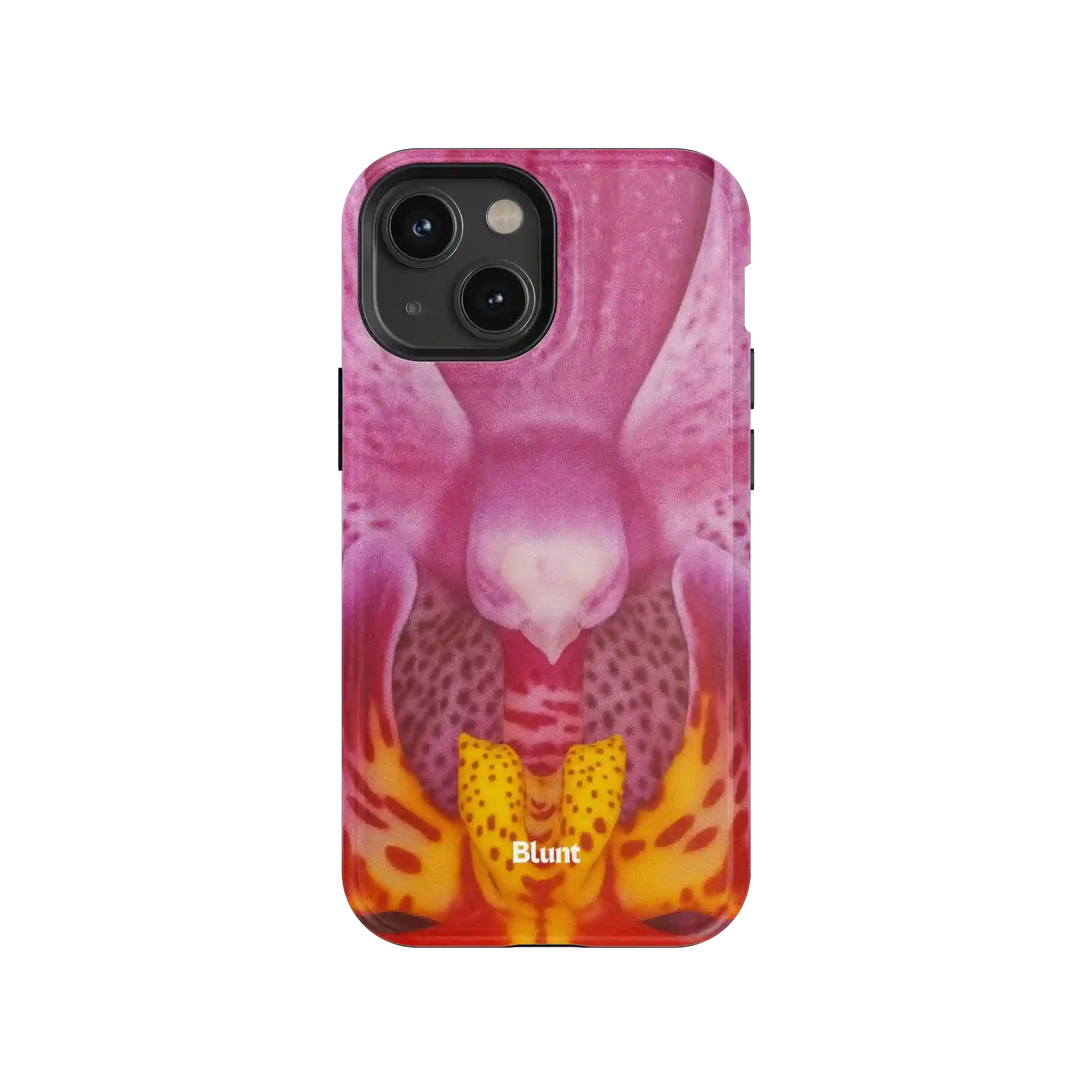 bluntcasesonline.com