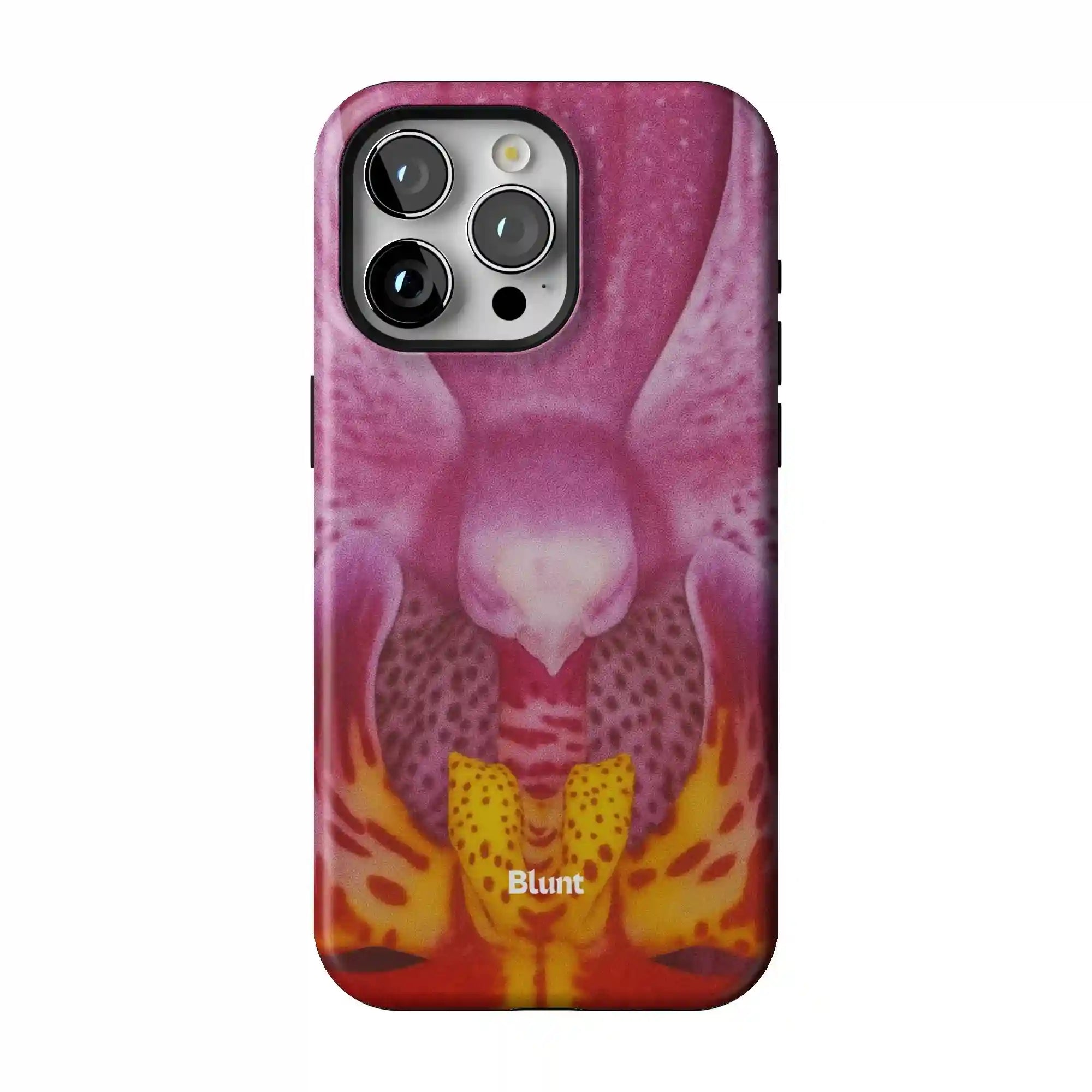 bluntcasesonline.com