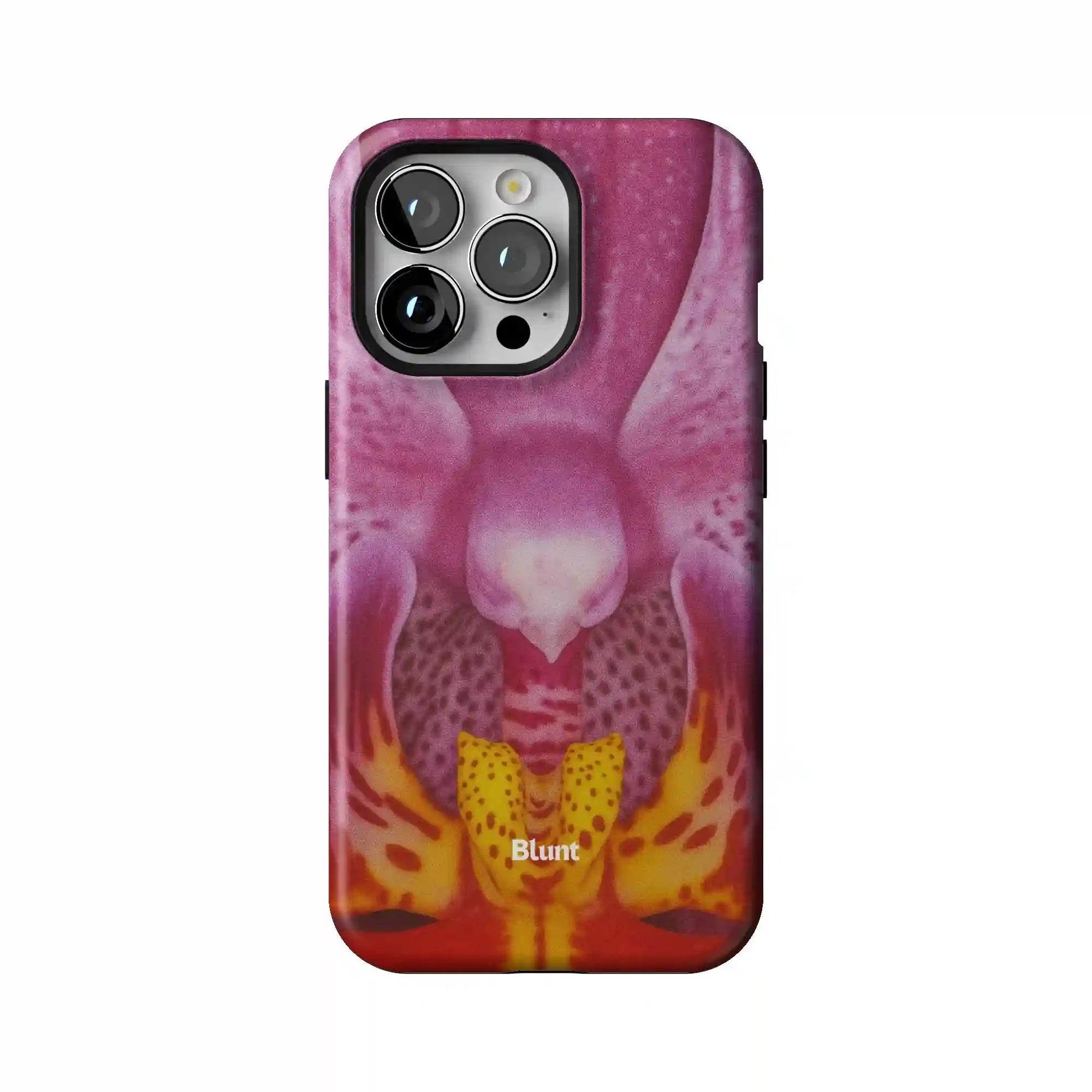 bluntcasesonline.com