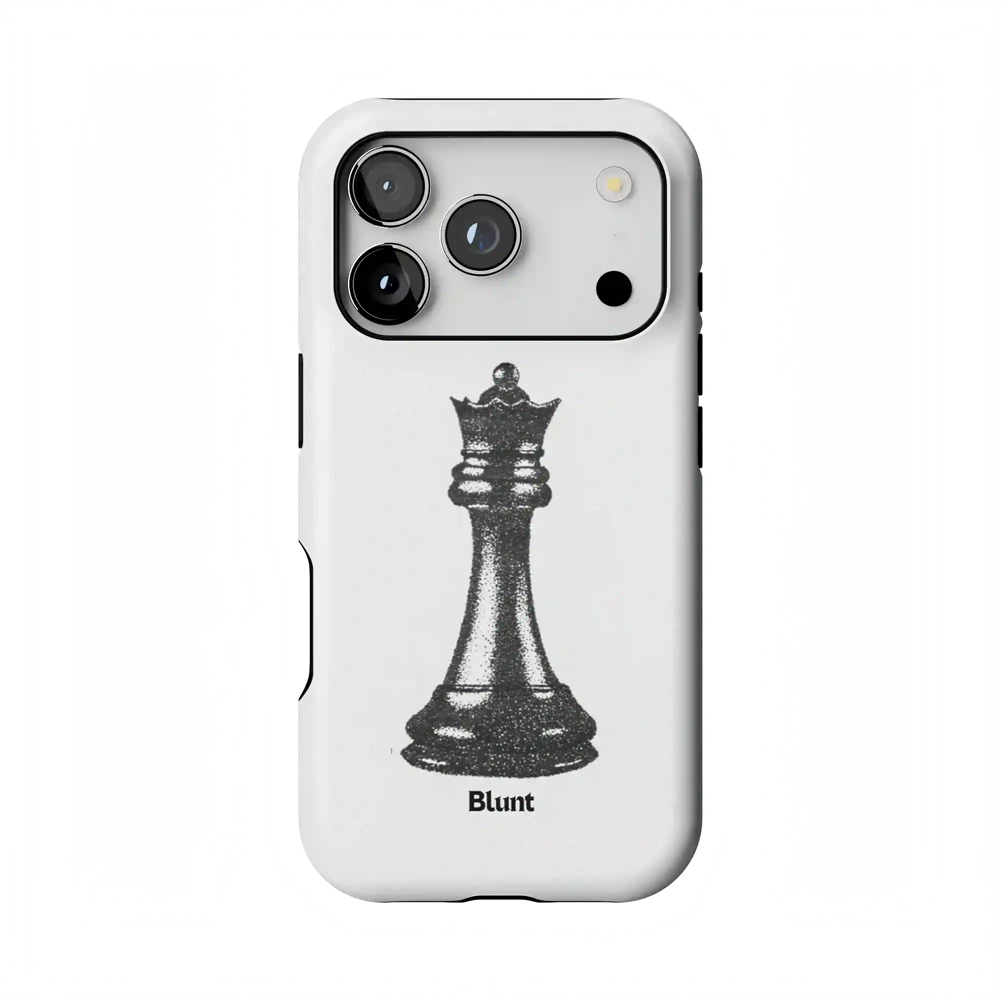 bluntcasesonline.com