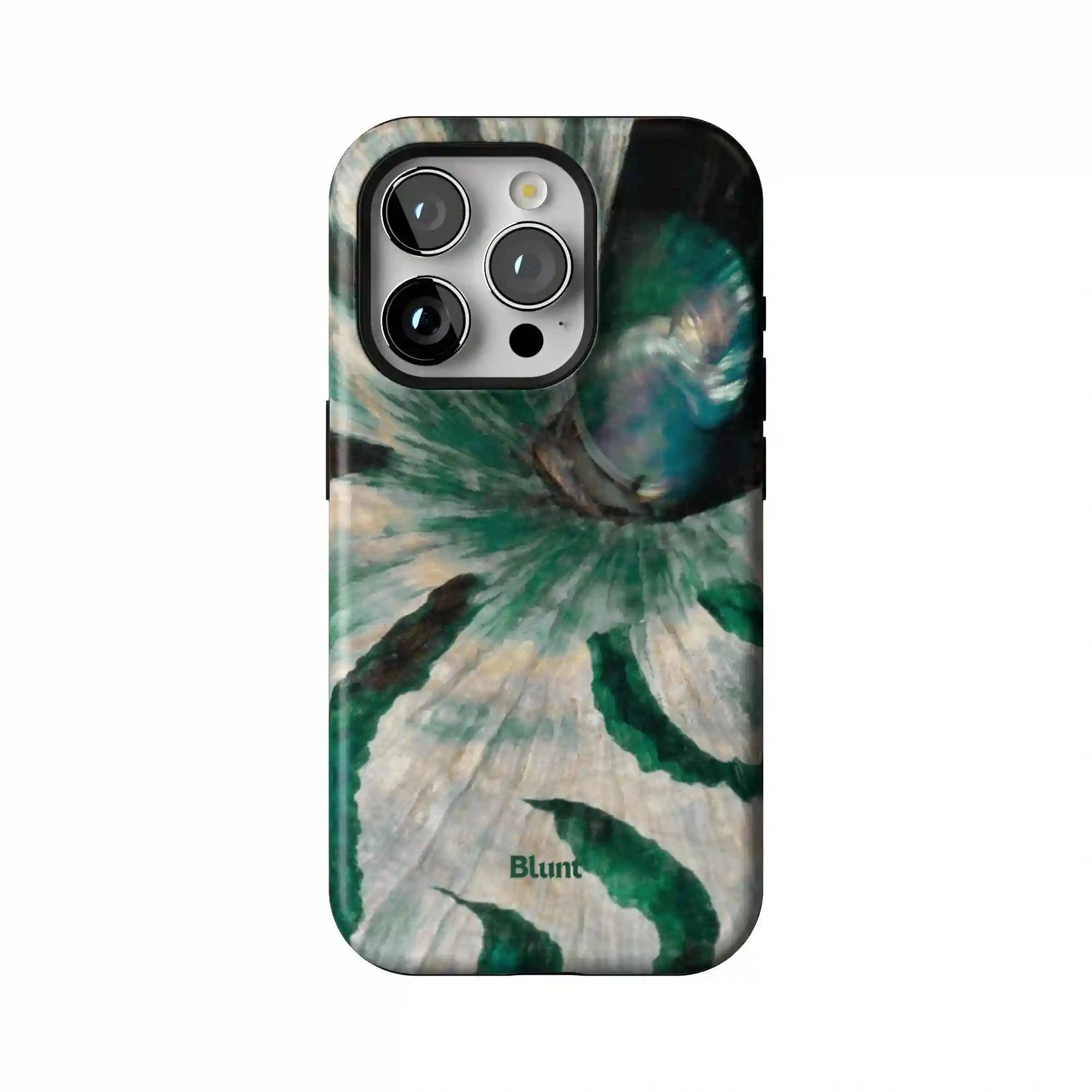 bluntcasesonline.com
