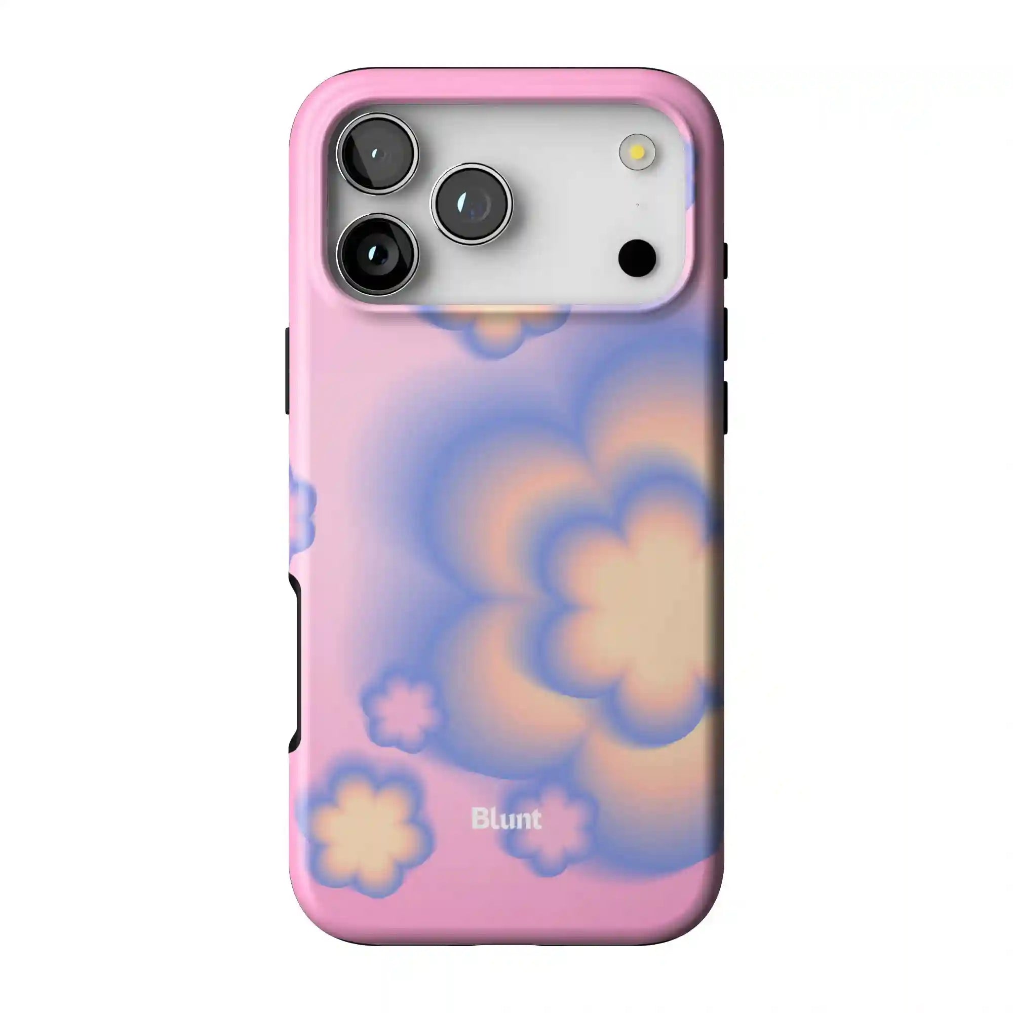 bluntcasesonline.com