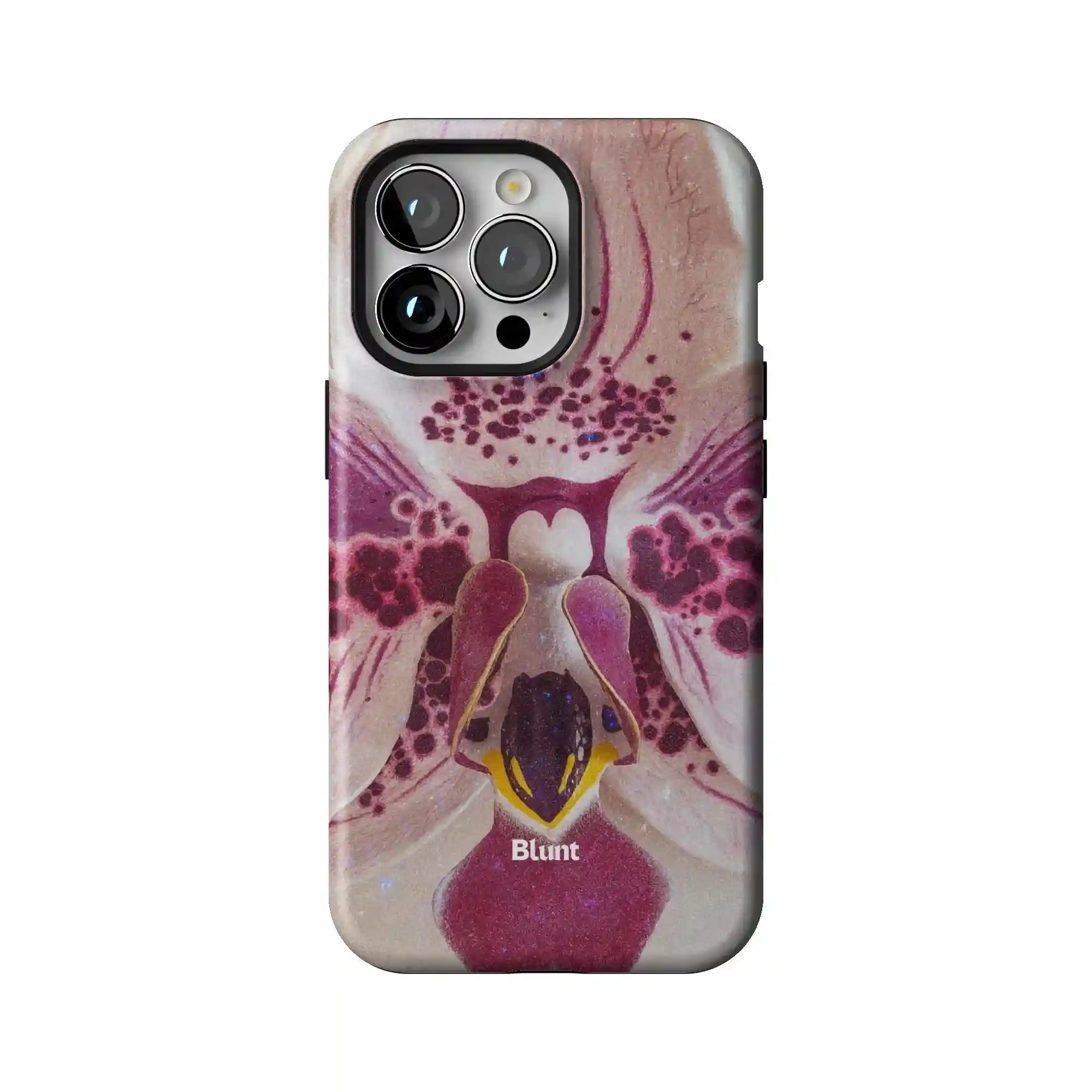bluntcasesonline.com