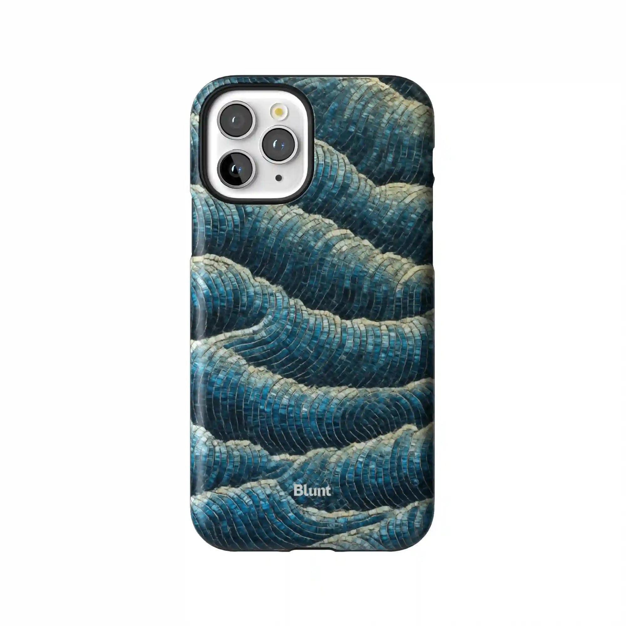 bluntcasesonline.com