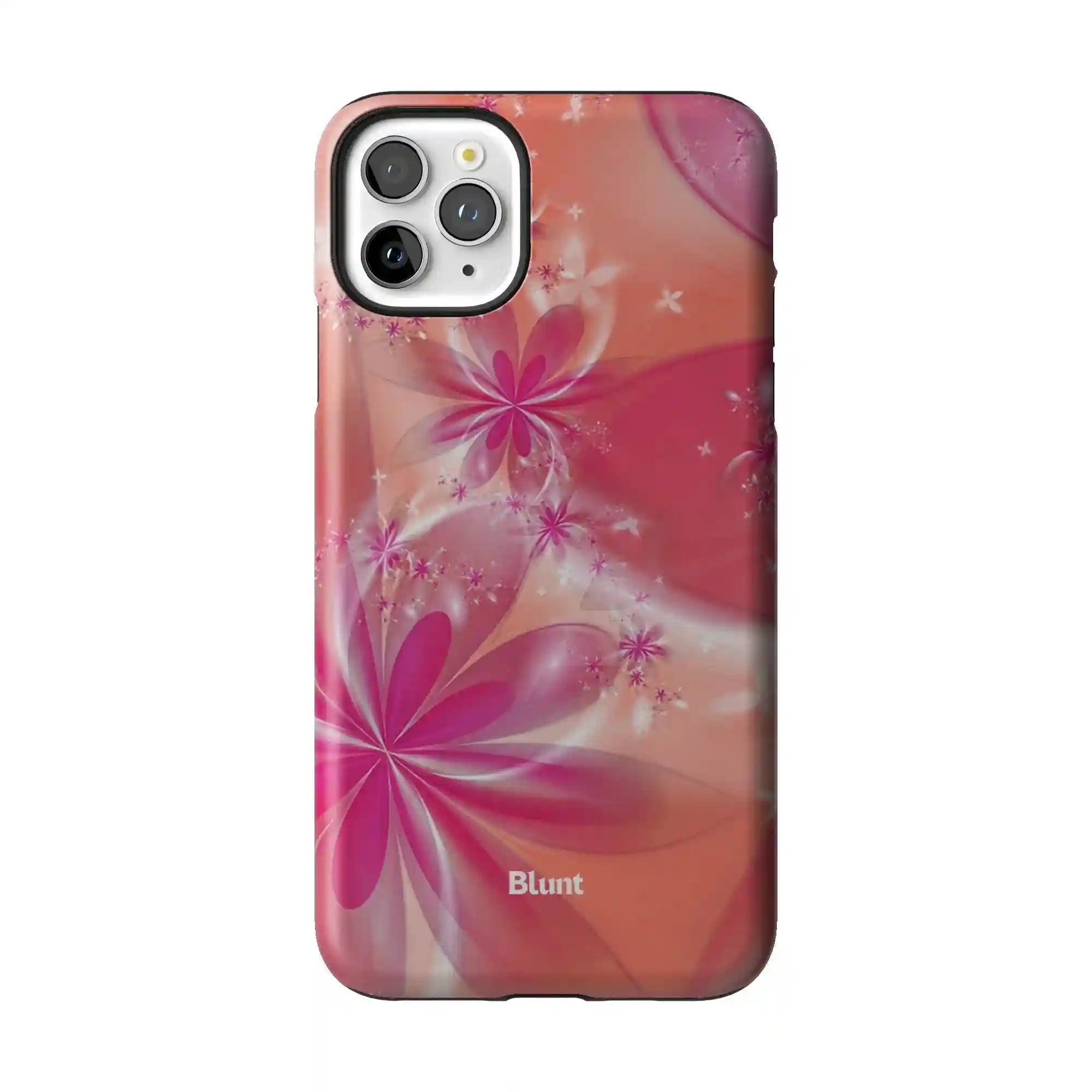bluntcasesonline.com
