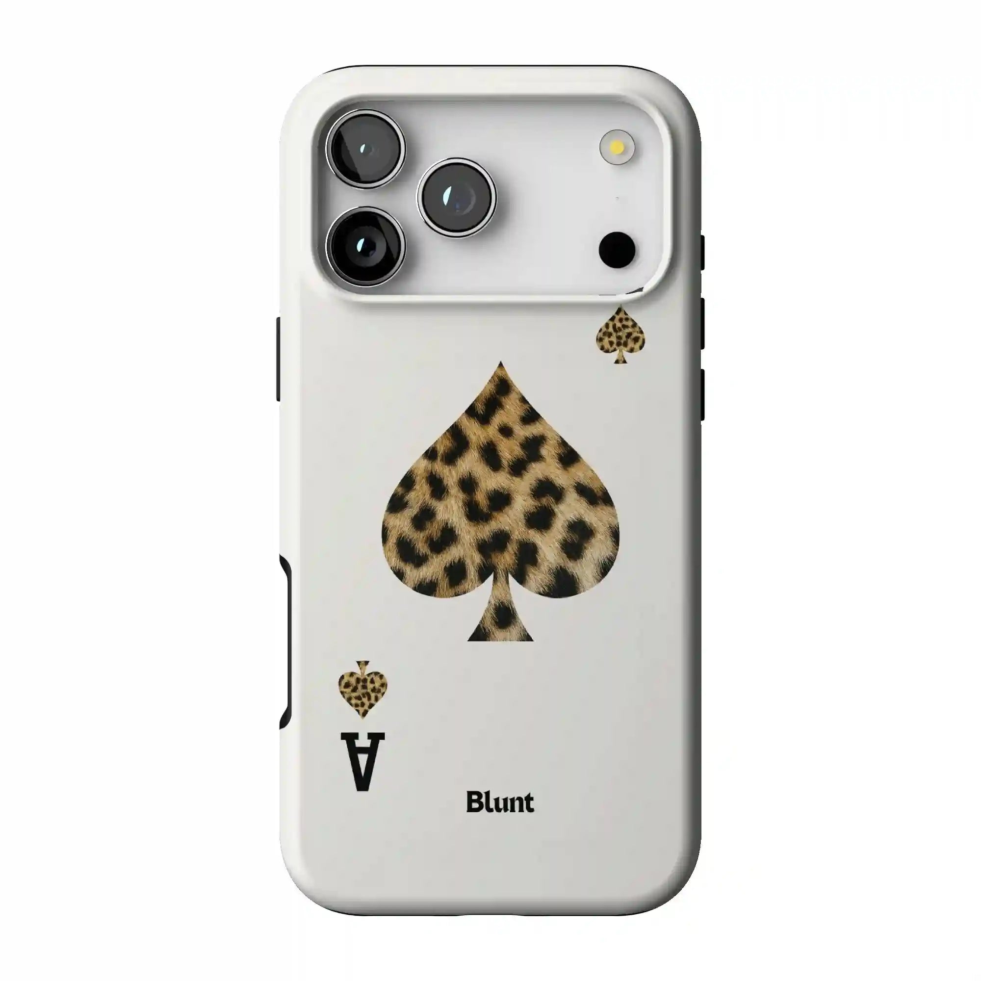 bluntcasesonline.com