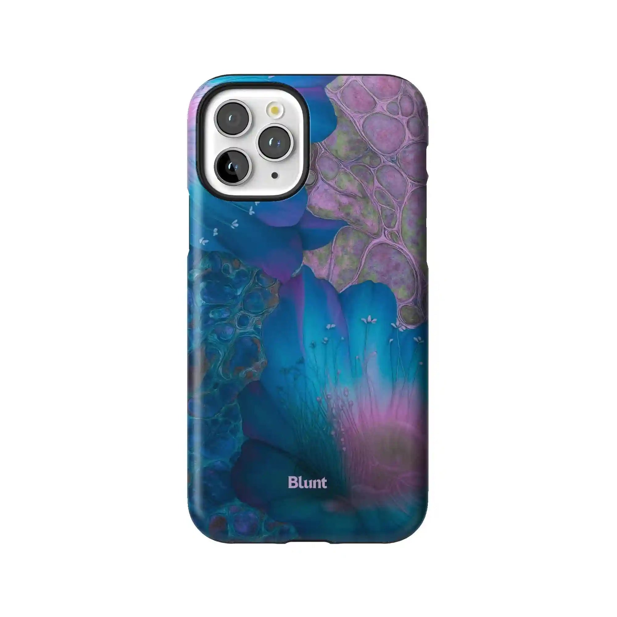 bluntcasesonline.com