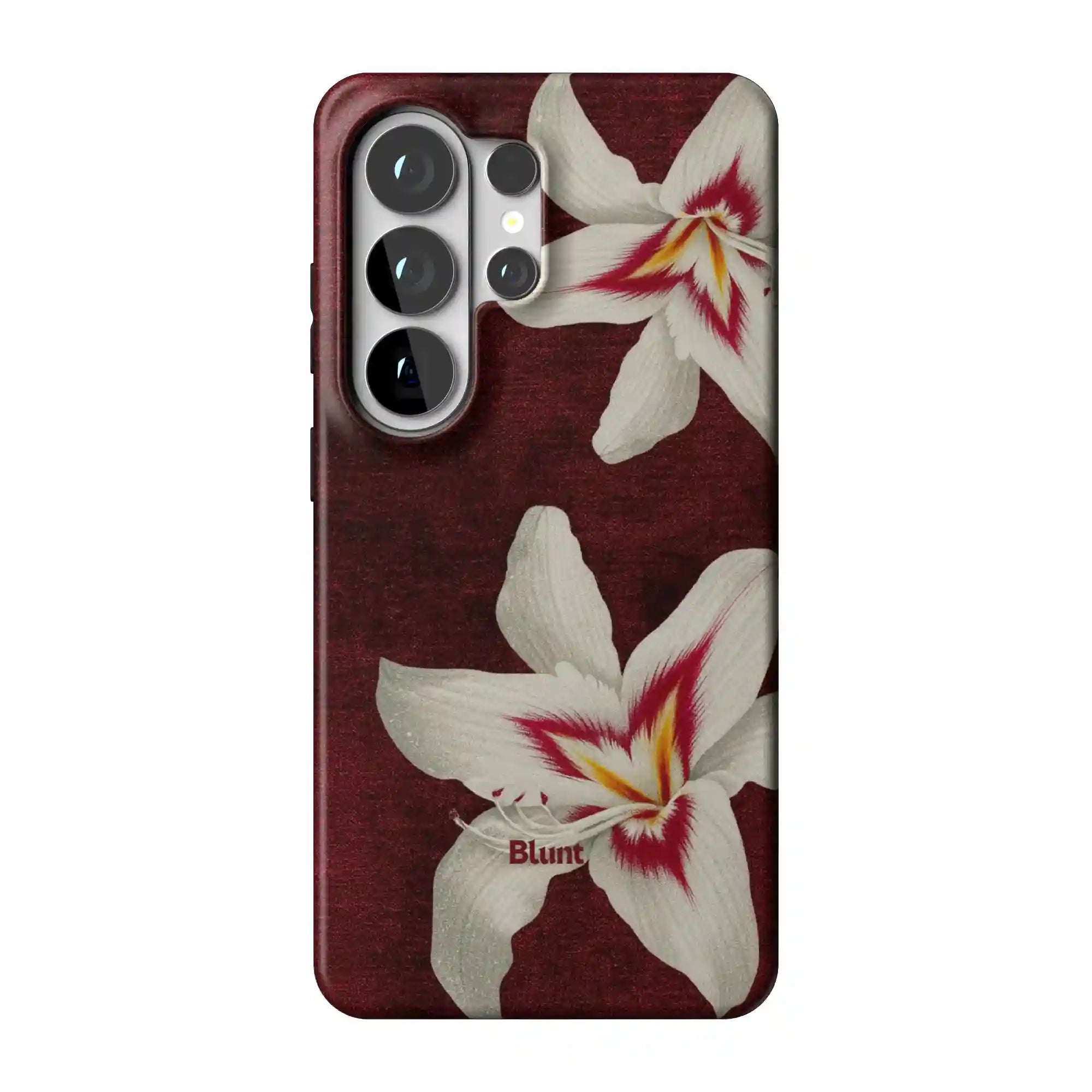 bluntcasesonline.com