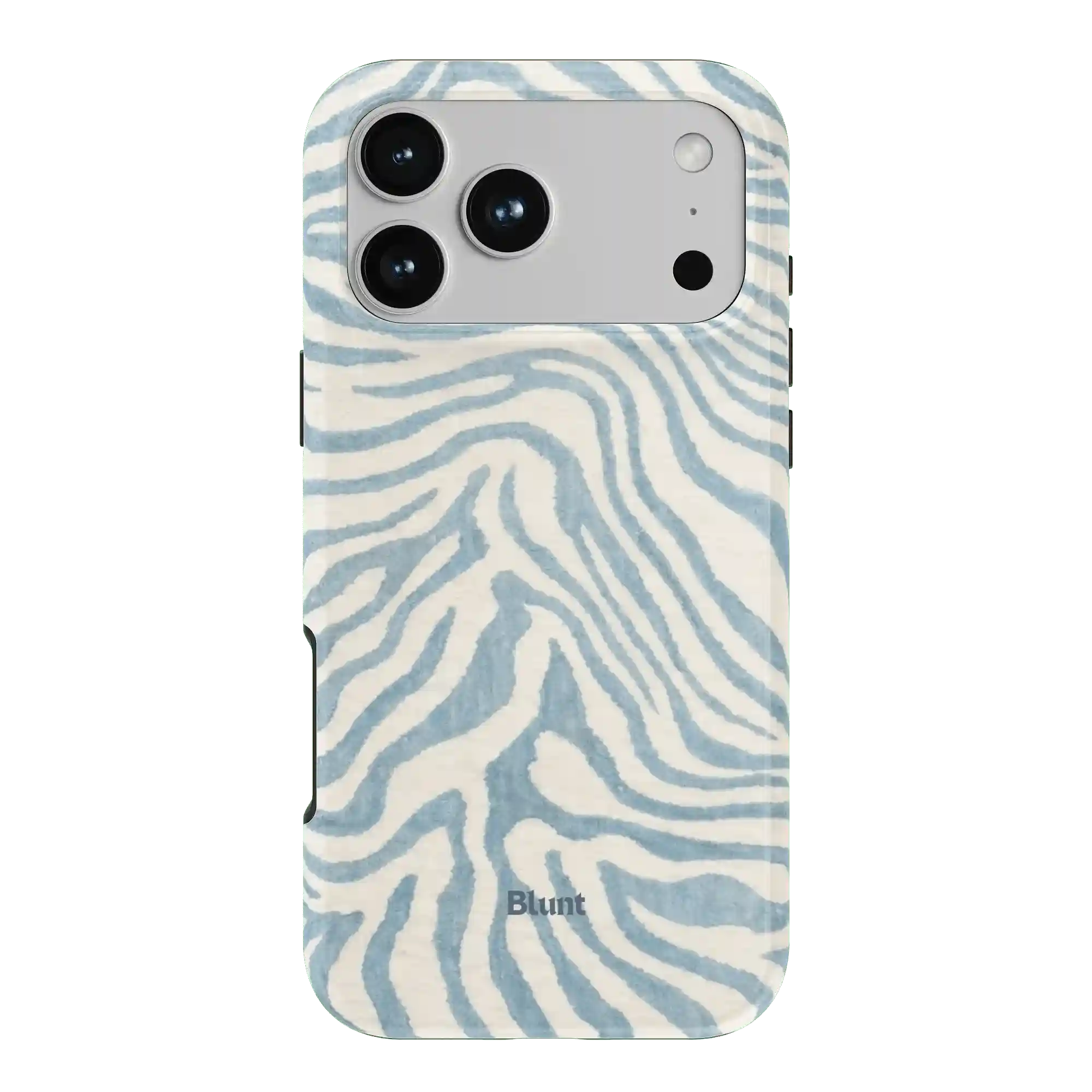 bluntcasesonline.com
