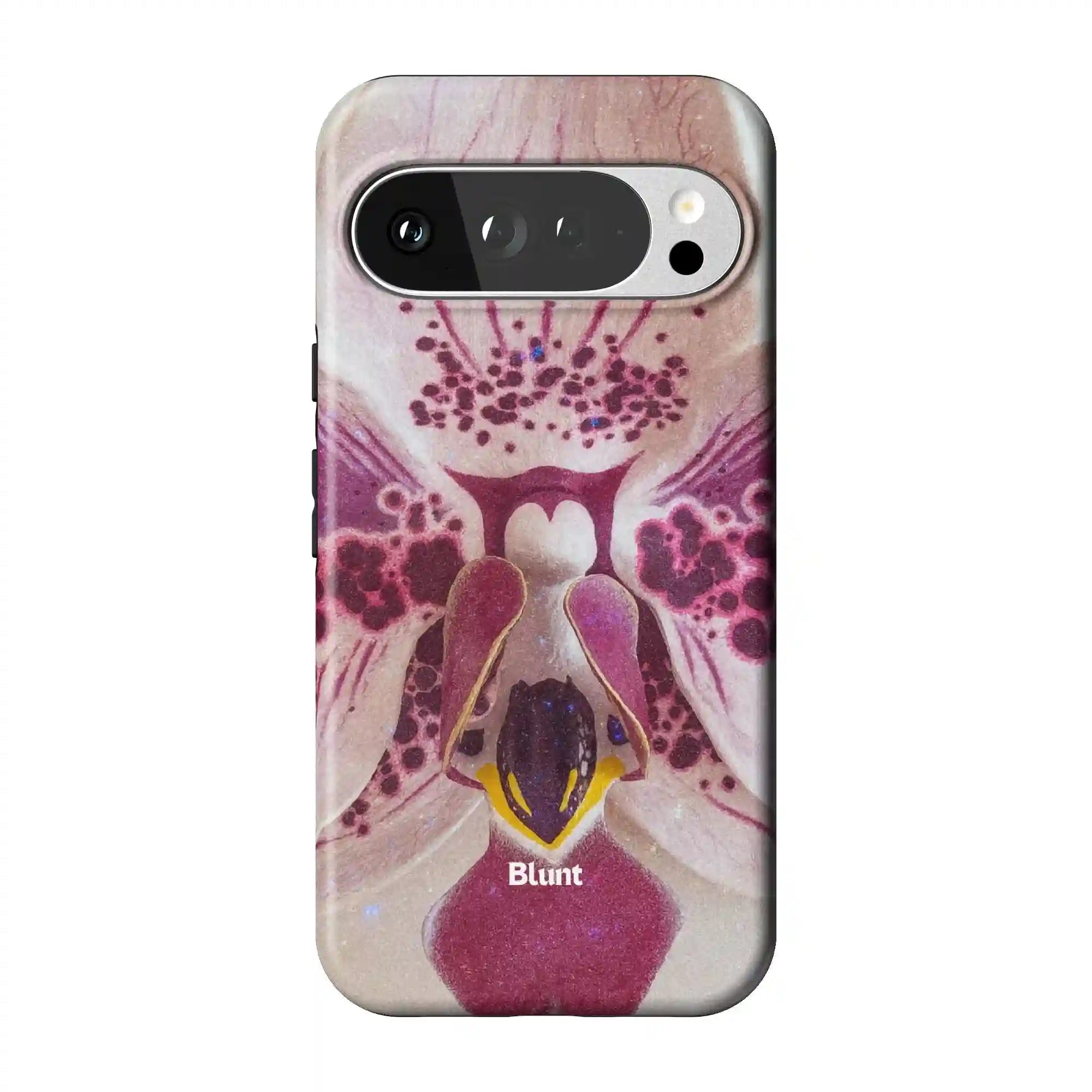 bluntcasesonline.com