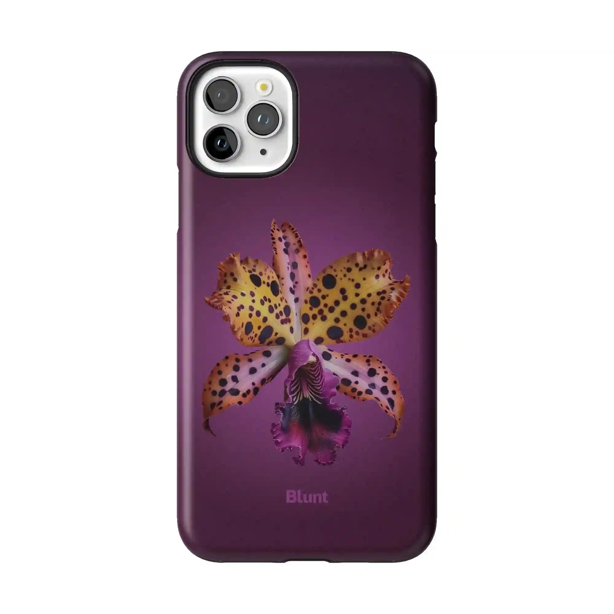 bluntcasesonline.com