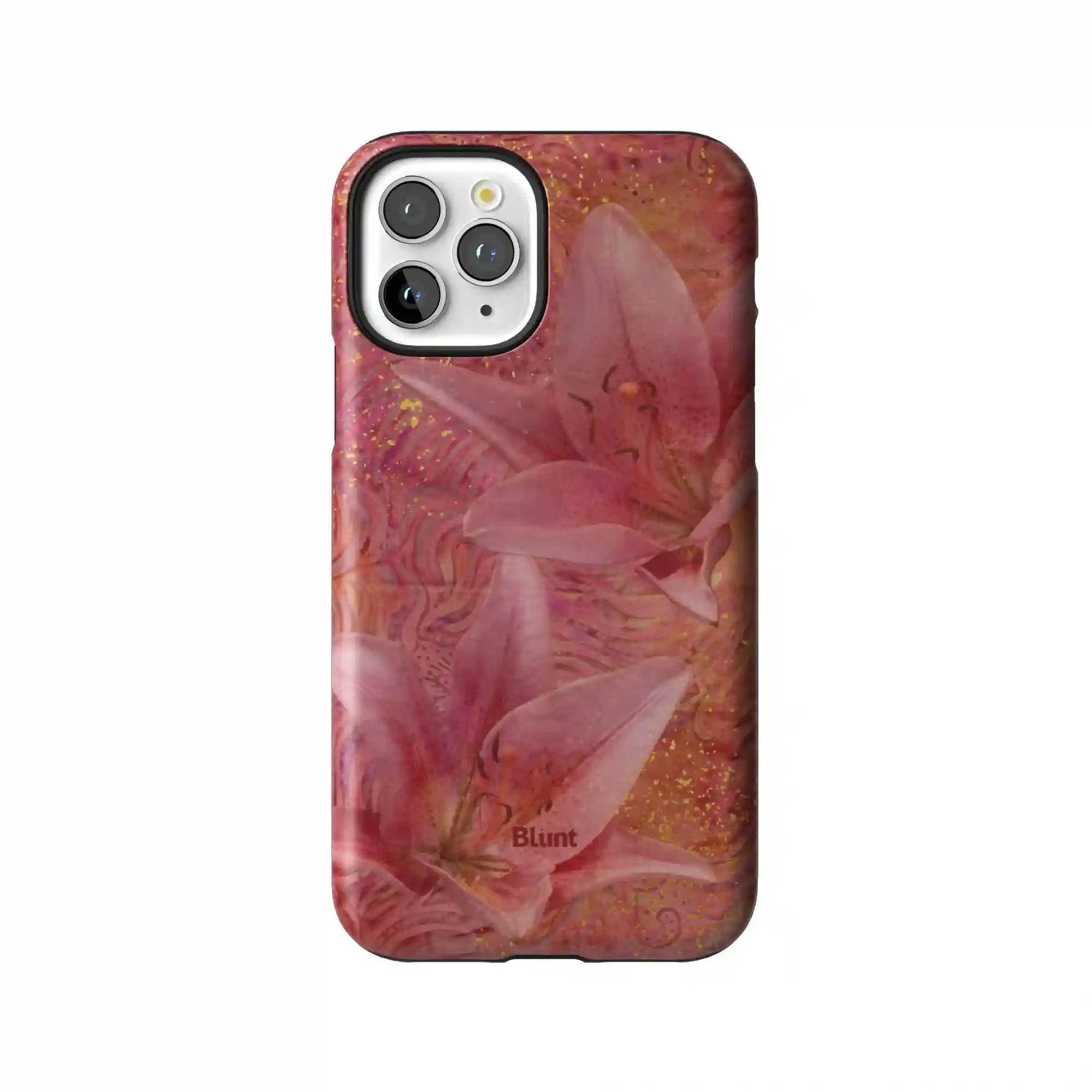 bluntcasesonline.com