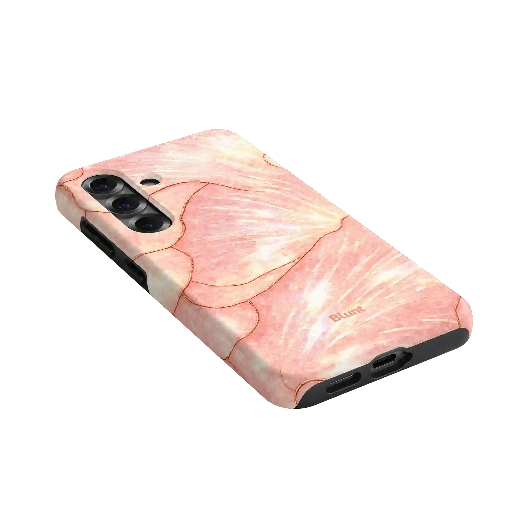 bluntcasesonline.com