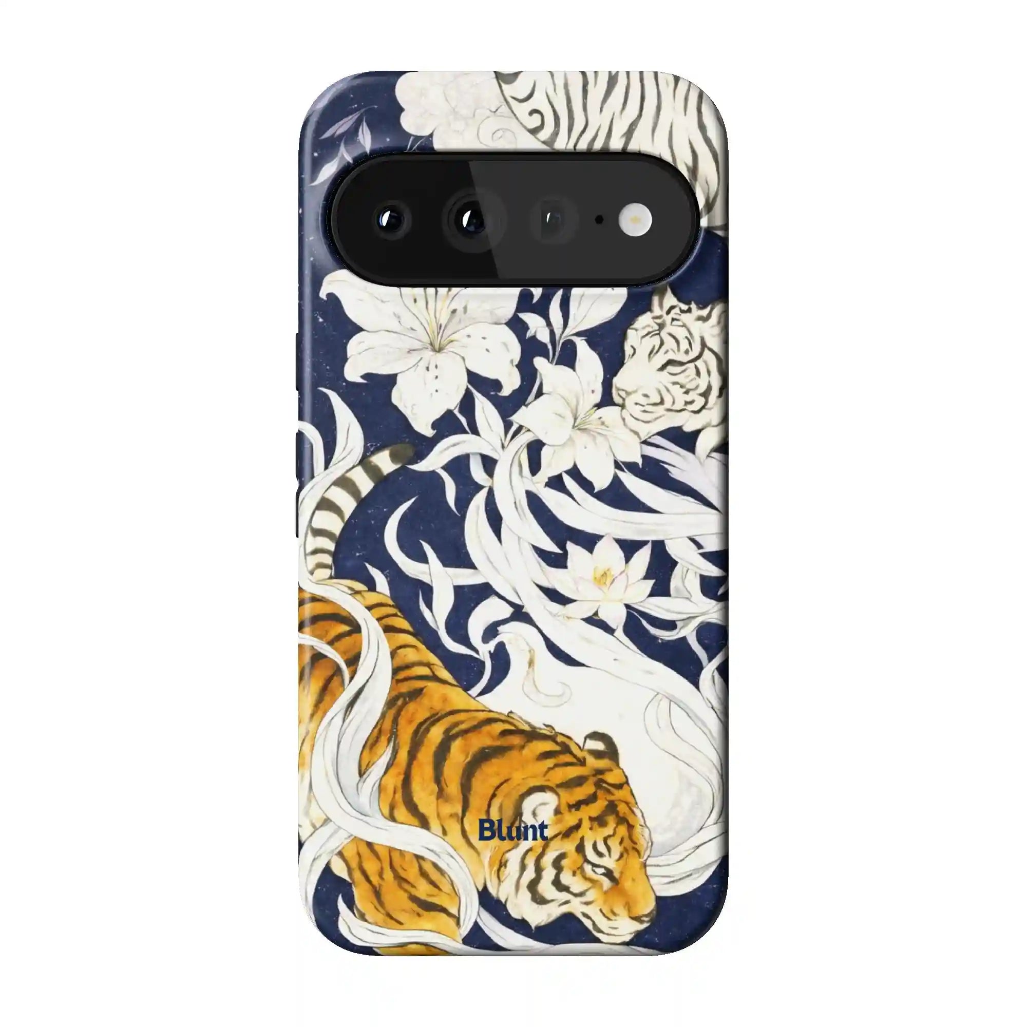 bluntcasesonline.com