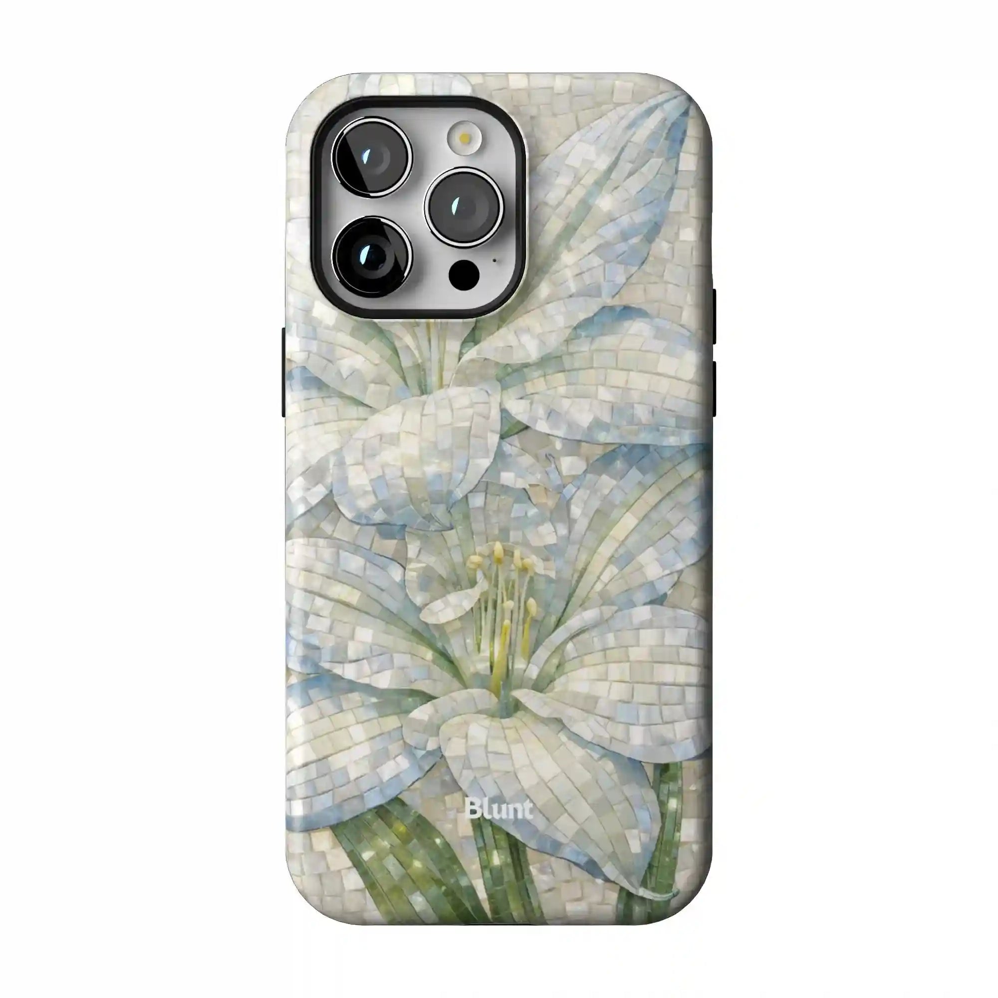 bluntcasesonline.com