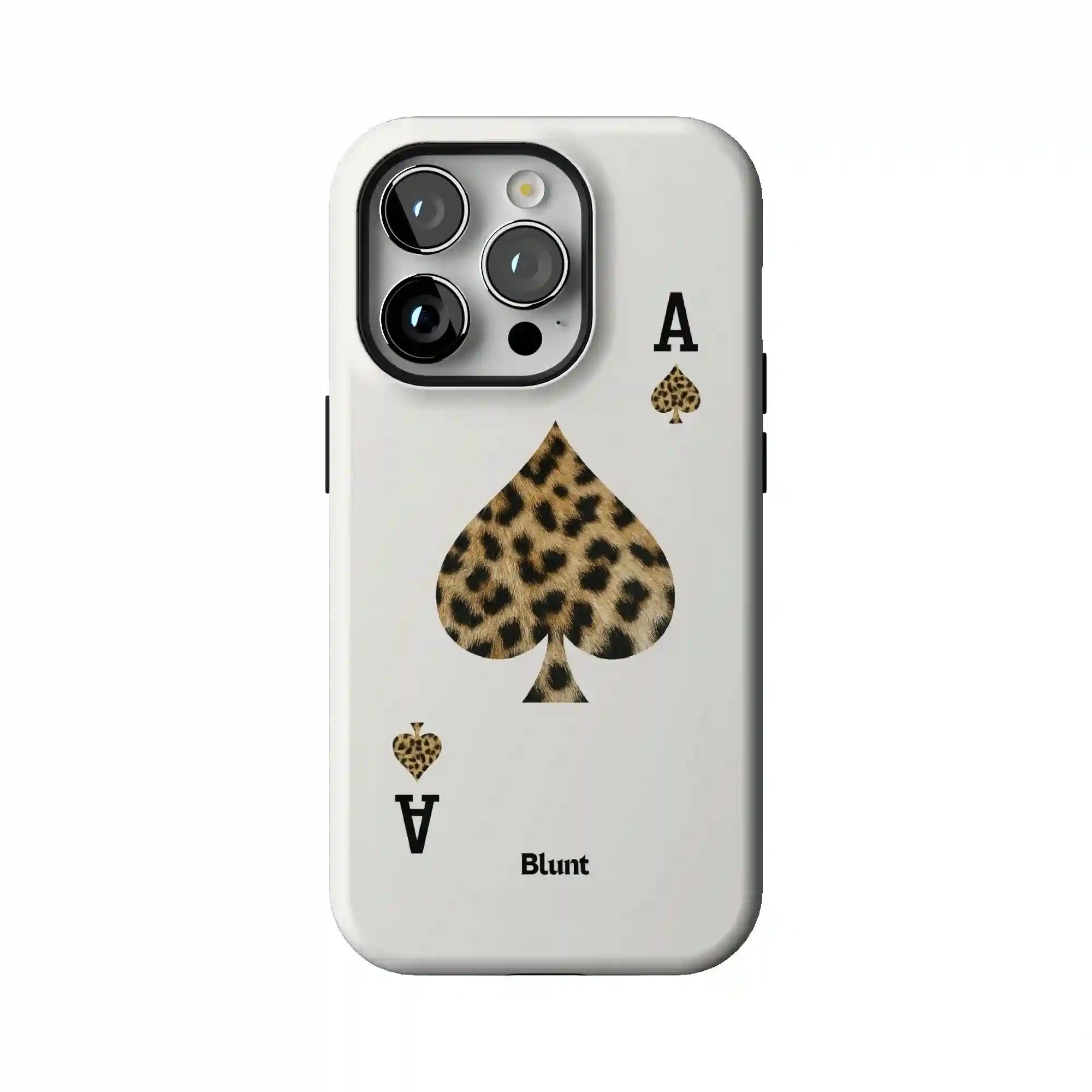 bluntcasesonline.com