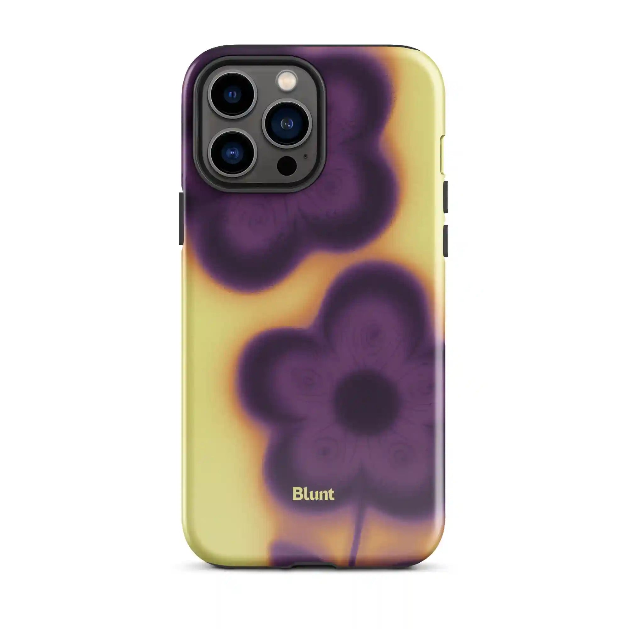 bluntcasesonline.com
