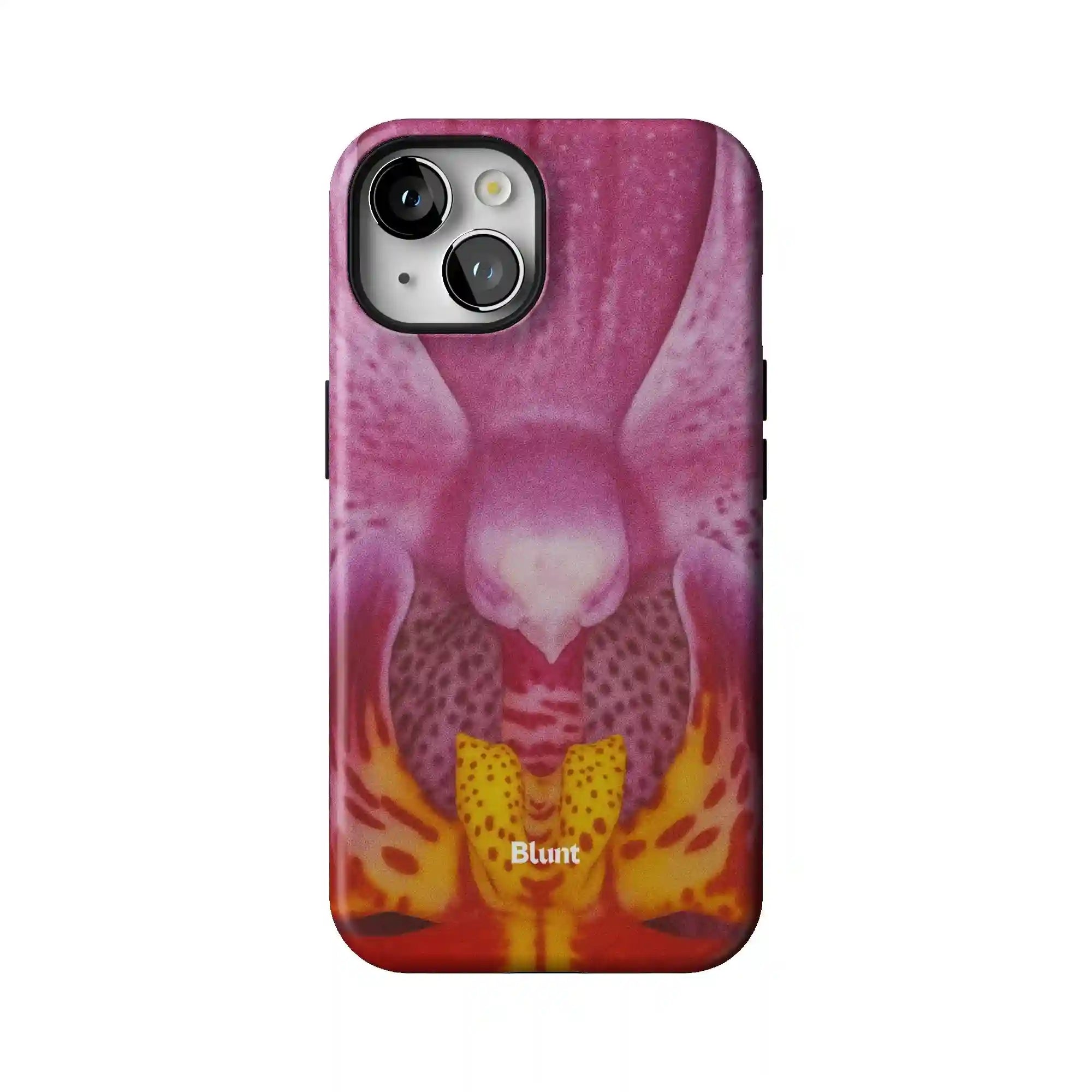 bluntcasesonline.com
