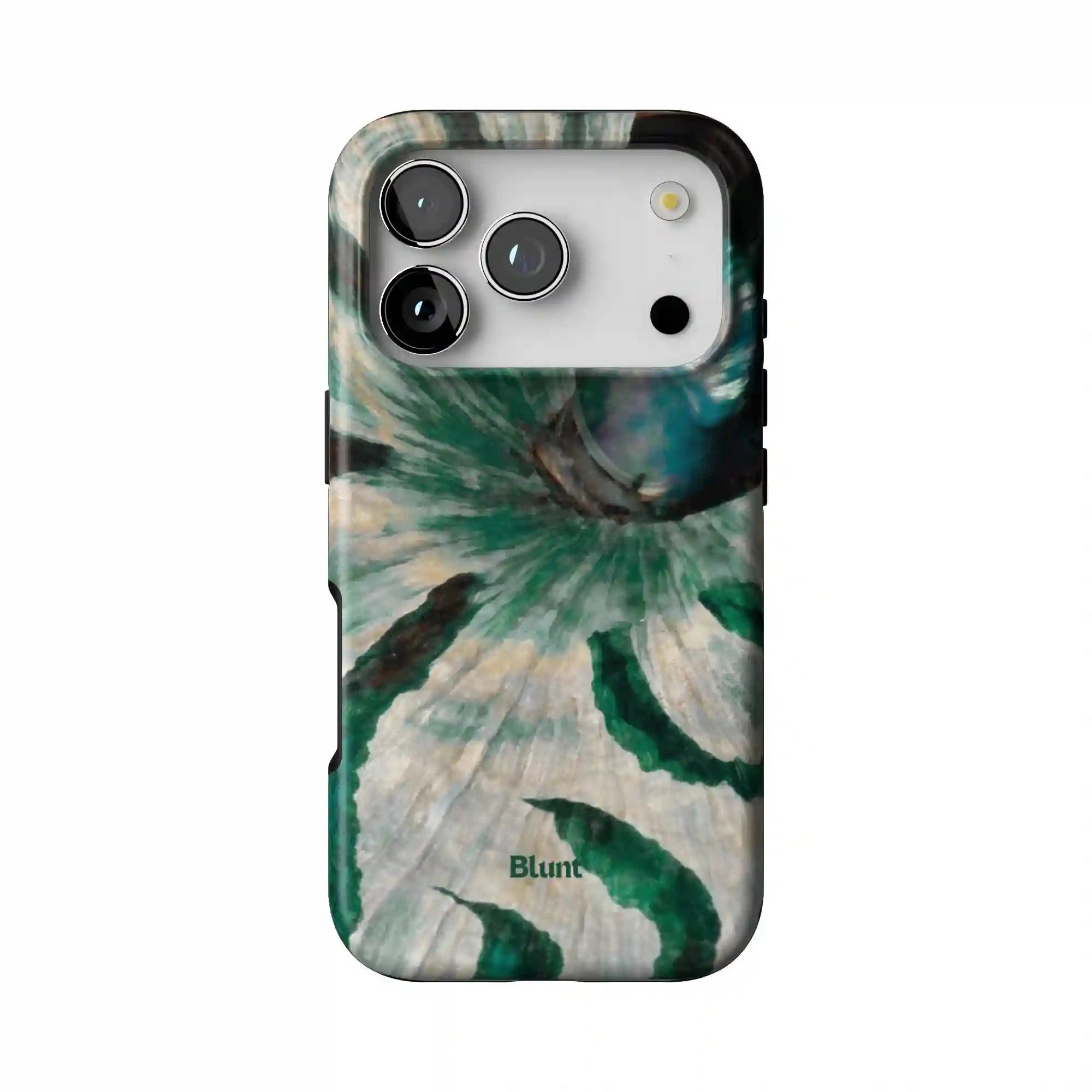 bluntcasesonline.com