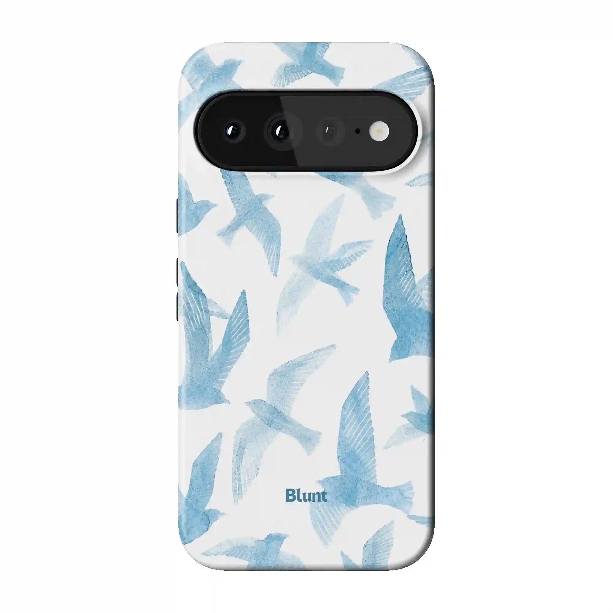 bluntcasesonline.com